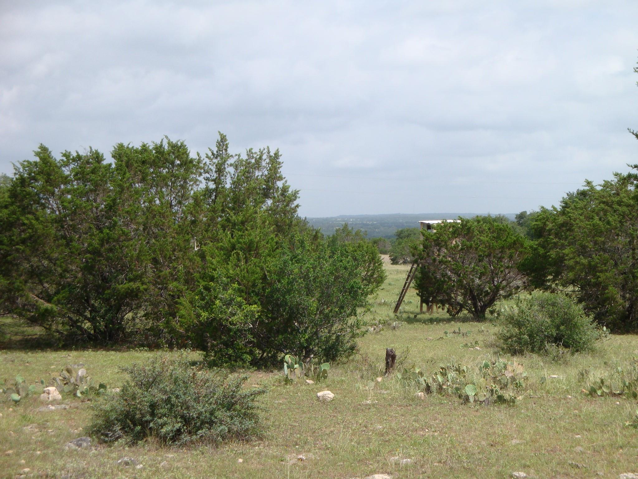 Photo 37