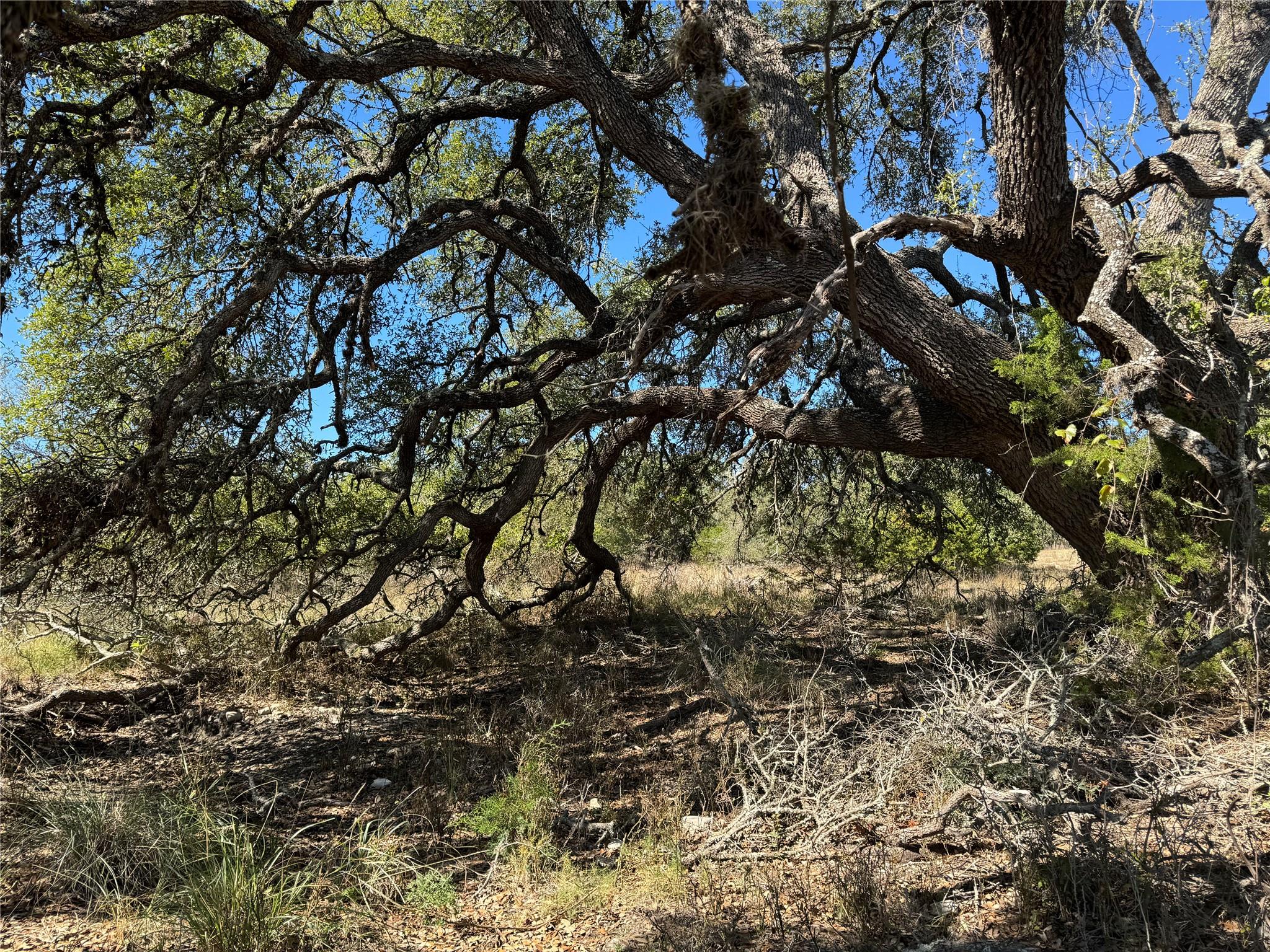Unimproved Land