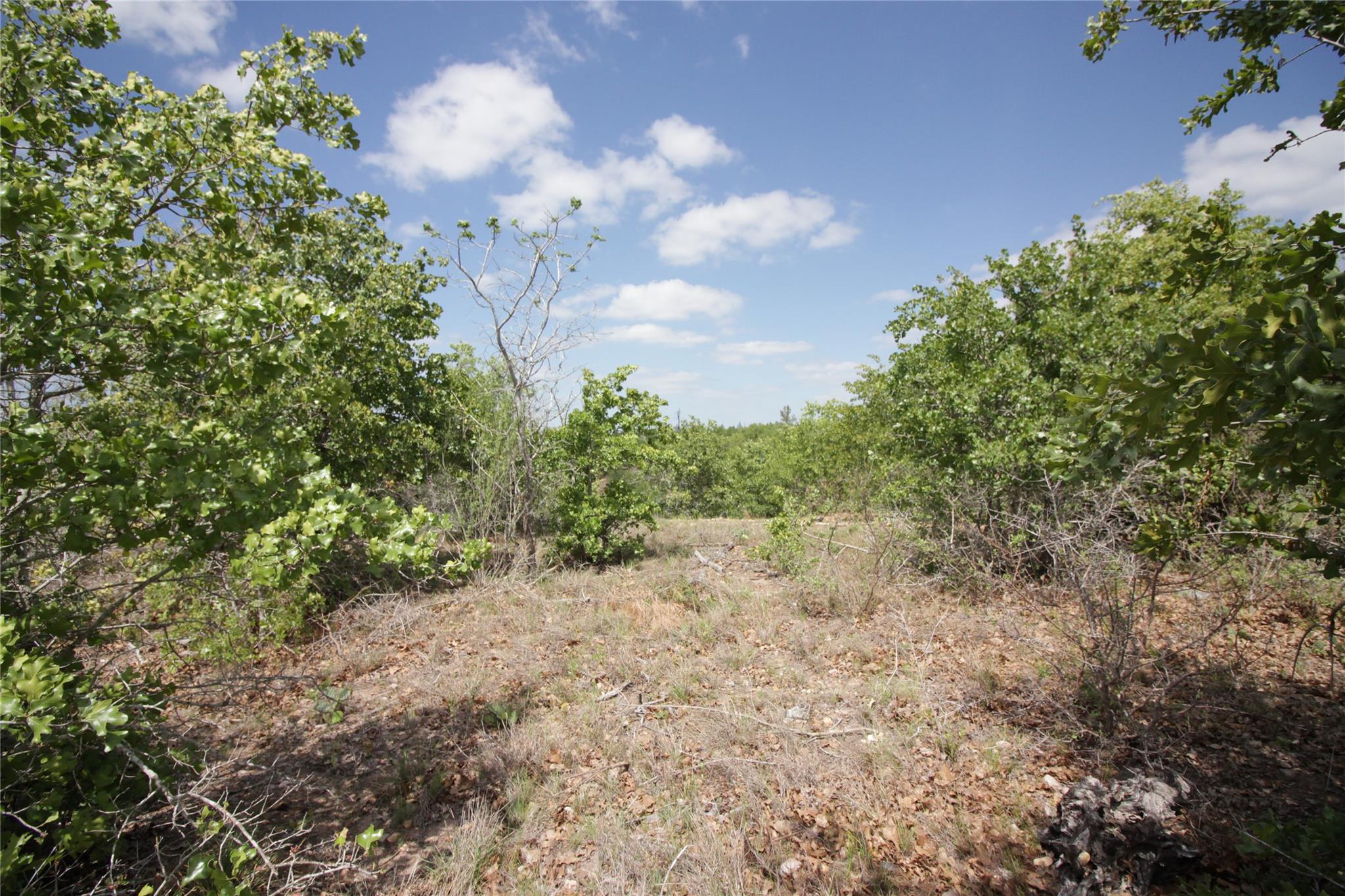 Unimproved Land