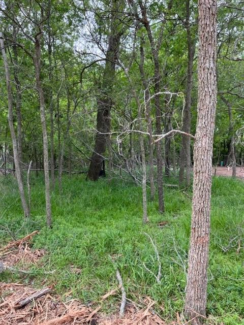 Unimproved Land
