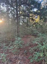 Unimproved Land