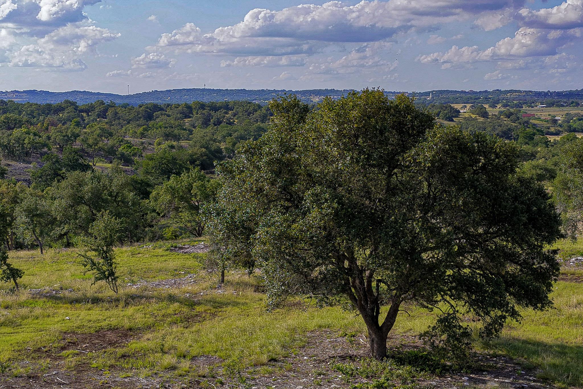 Unimproved Land
