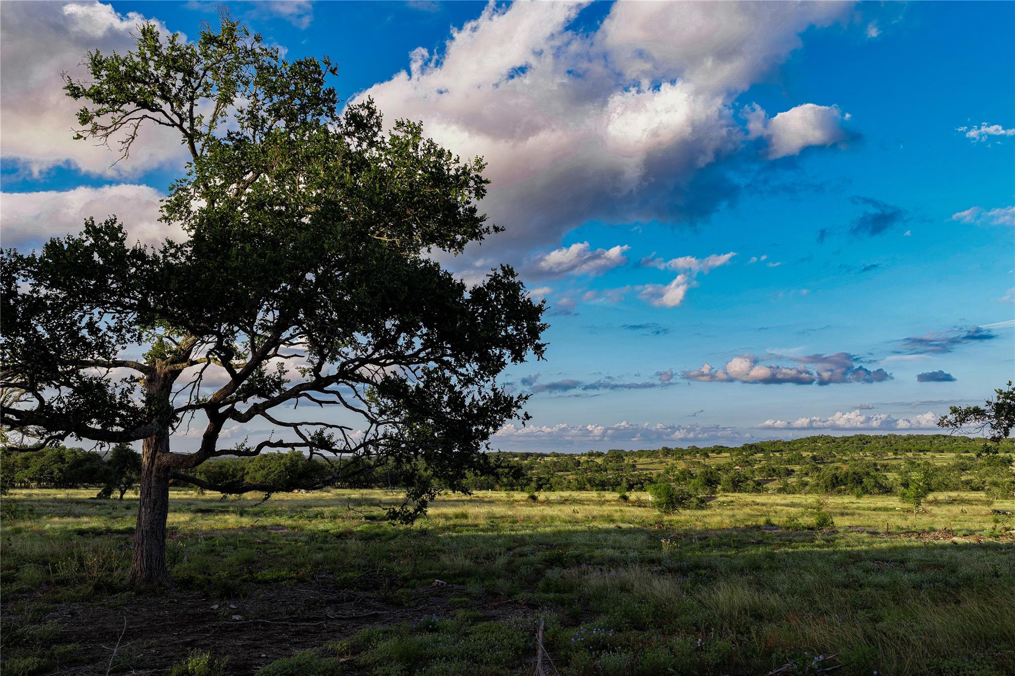 Unimproved Land