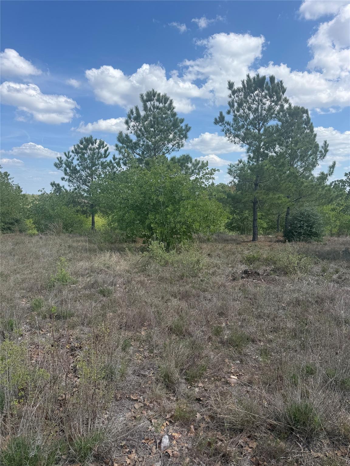 Unimproved Land