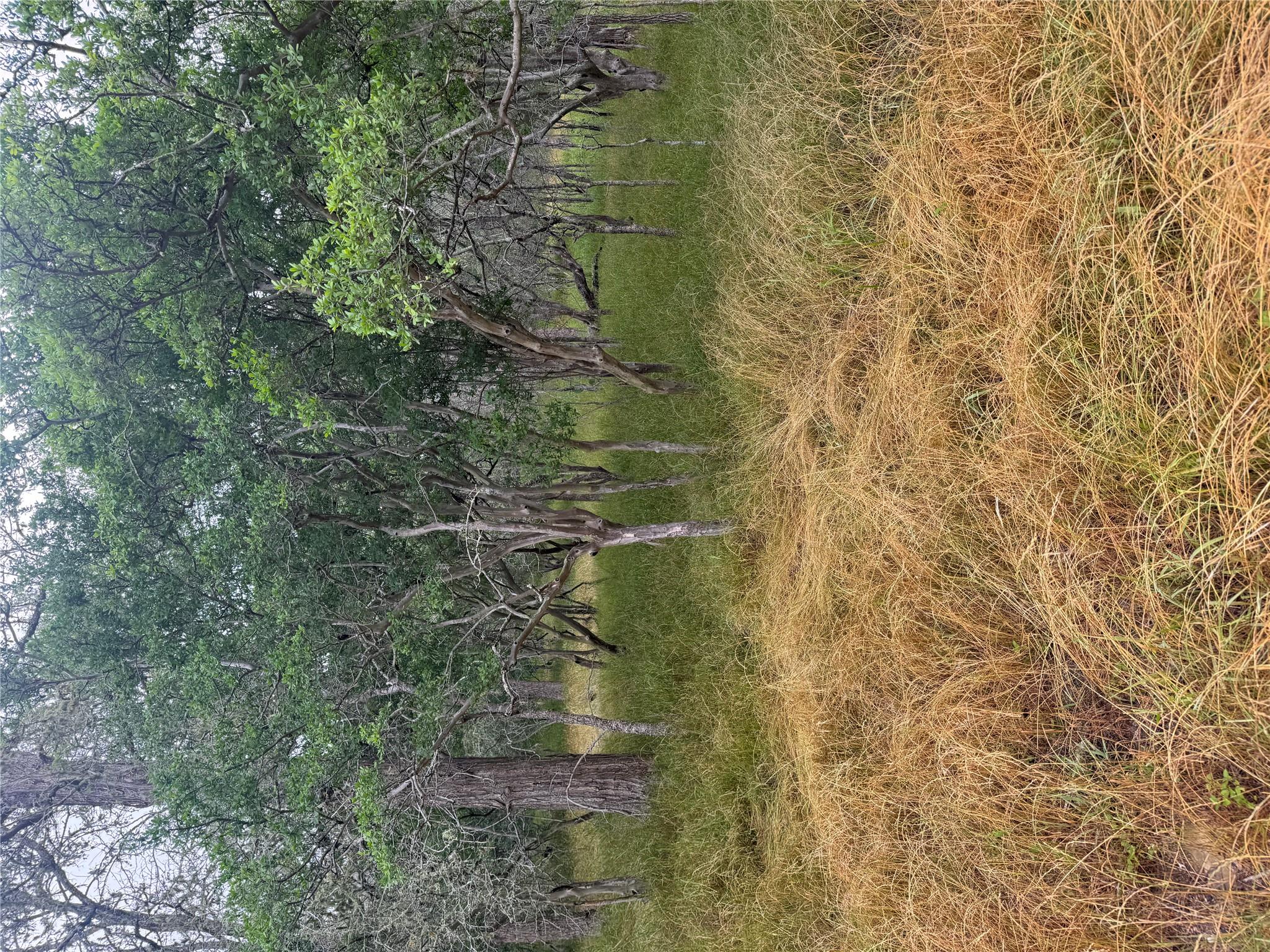 Unimproved Land