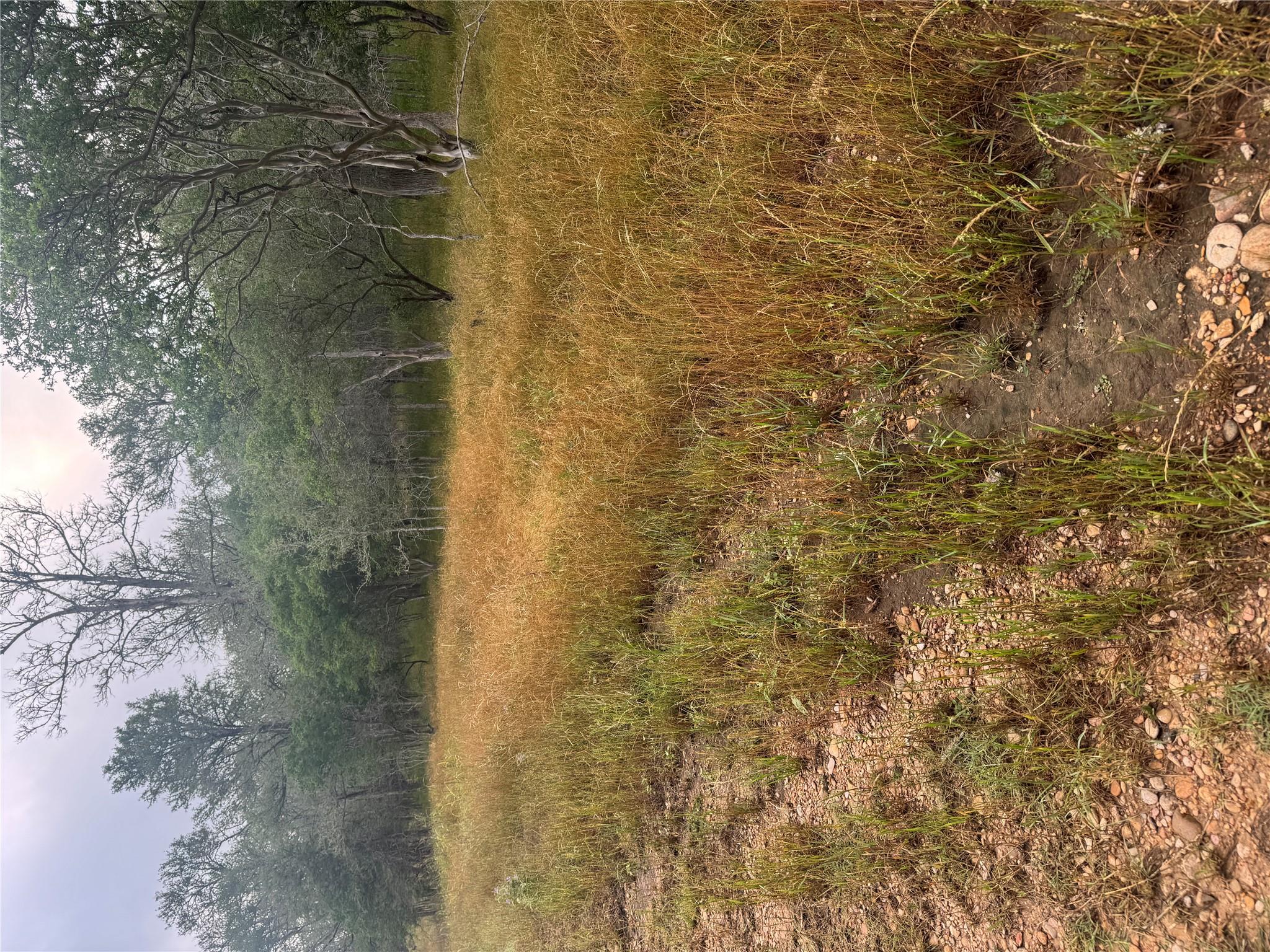 Unimproved Land