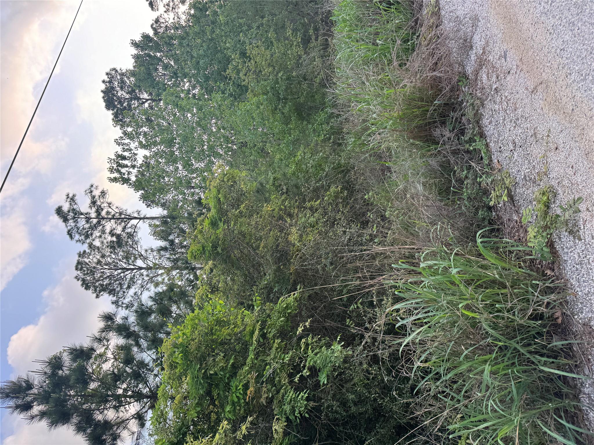 Multiple Lots (Adjacent)