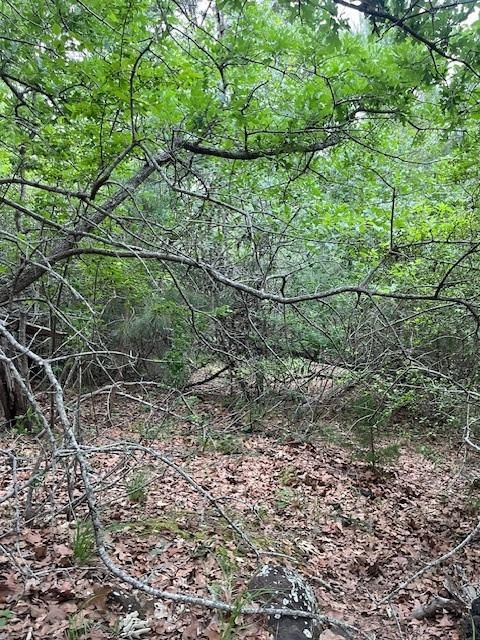 Unimproved Land