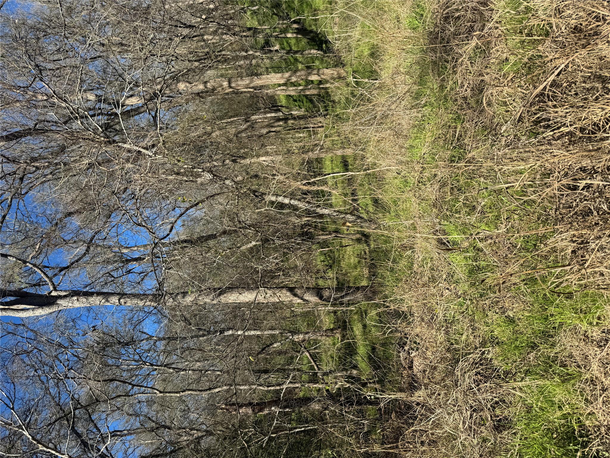 Multiple Lots (Adjacent)