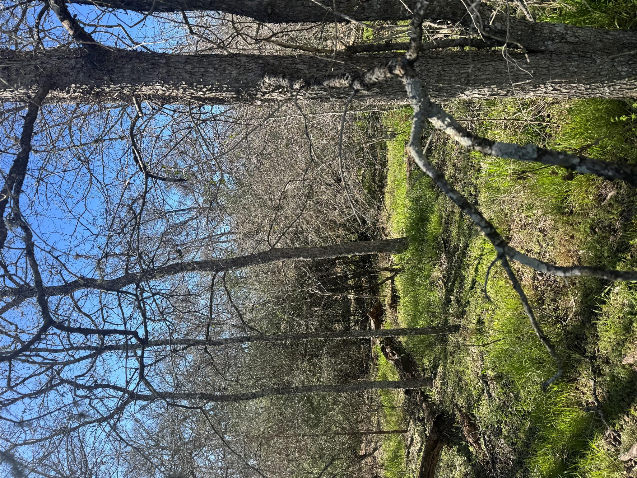 Unimproved Land