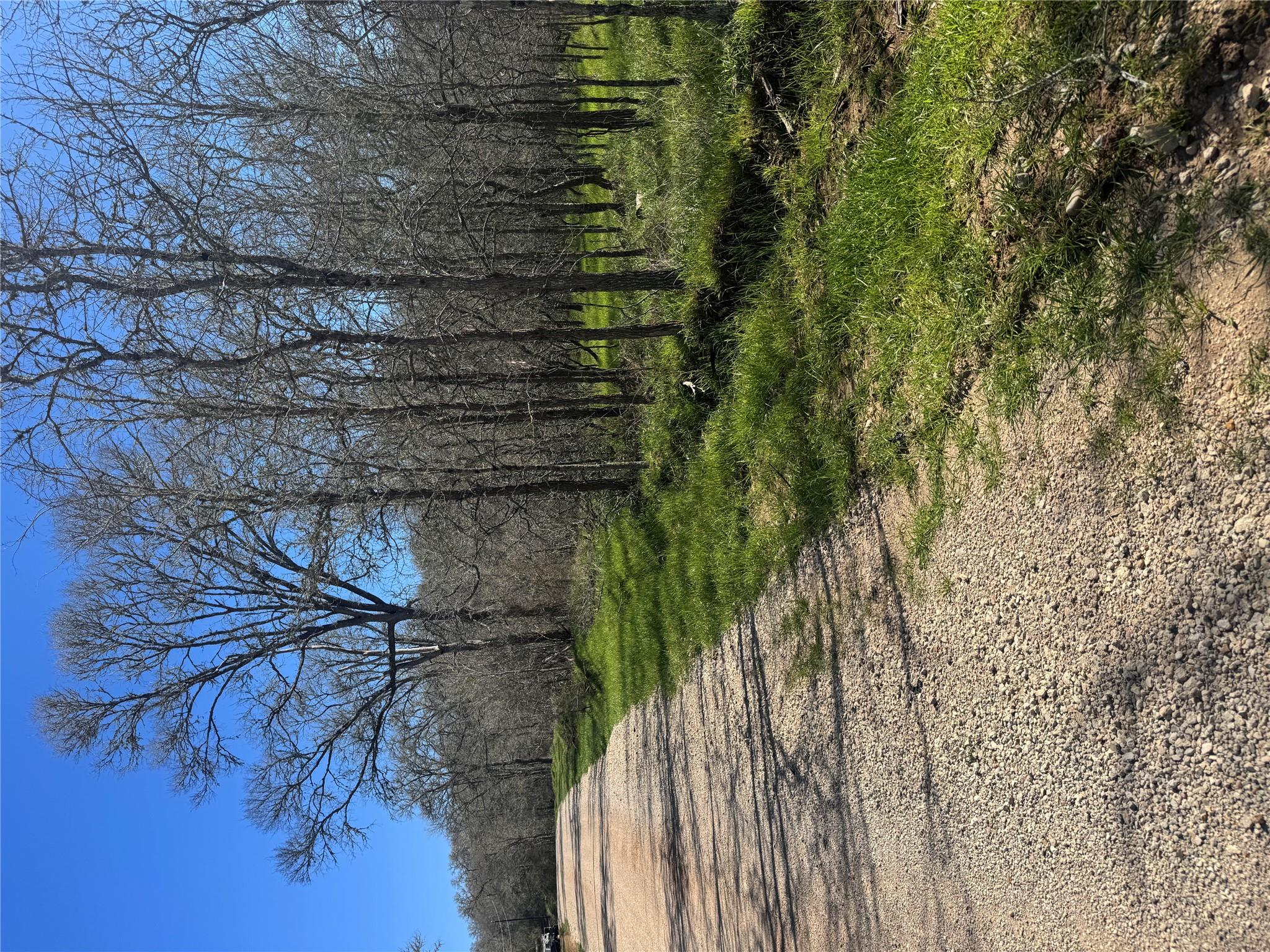 Unimproved Land