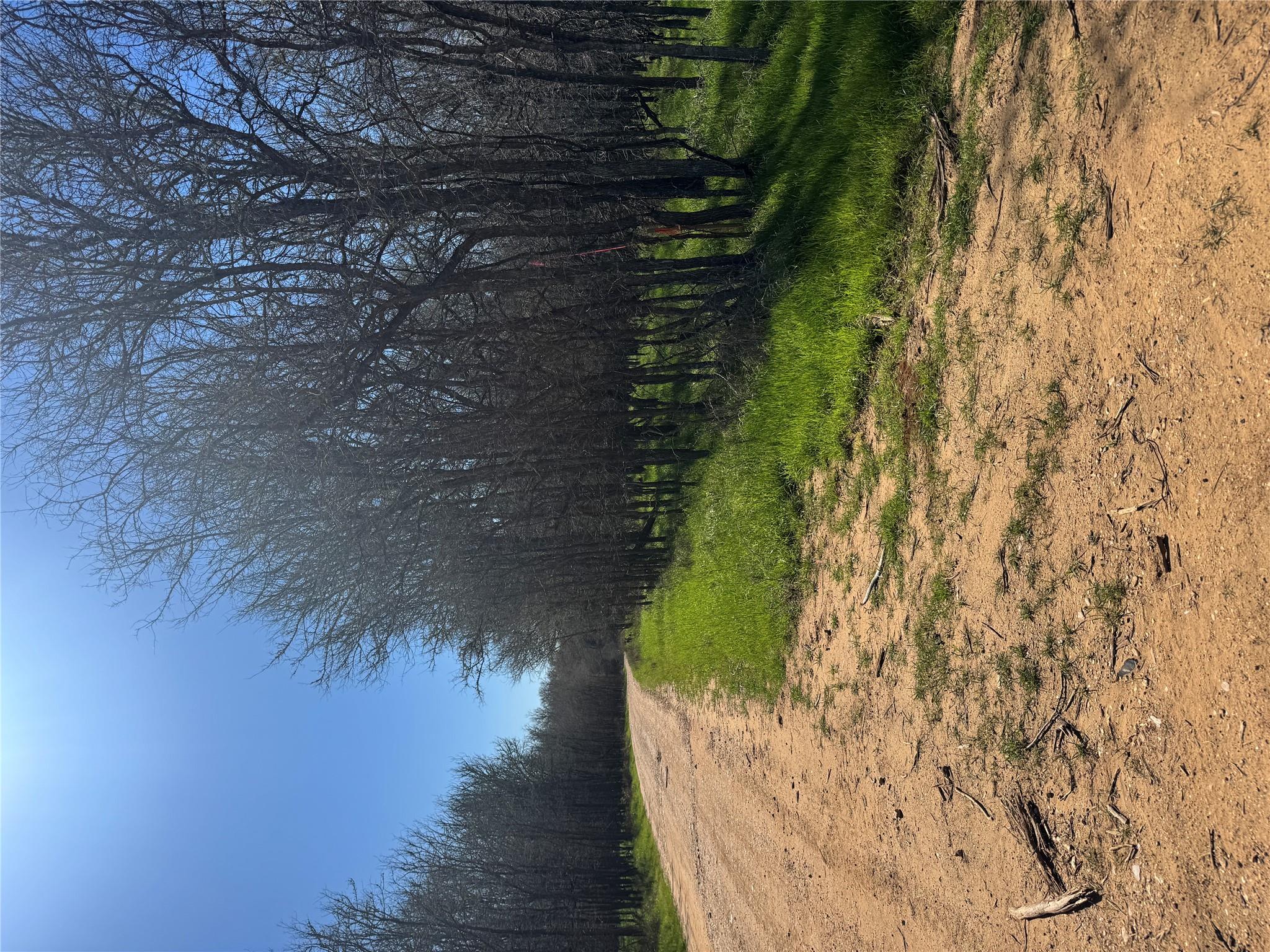 Unimproved Land