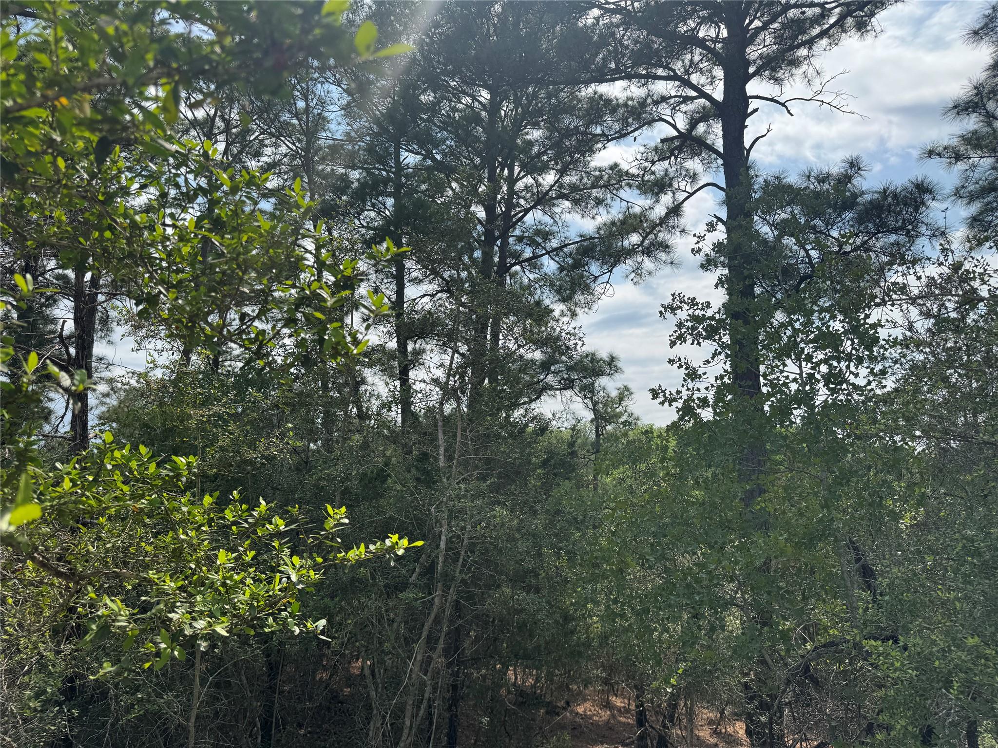 Multiple Lots (Adjacent)