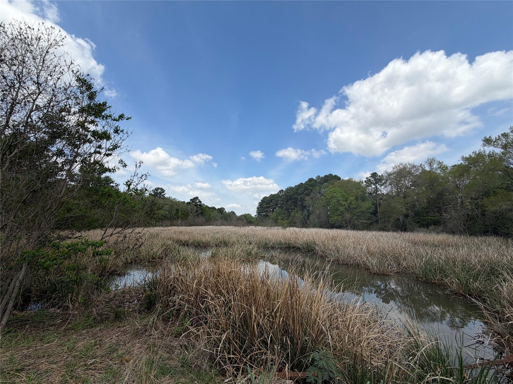 Unimproved Land