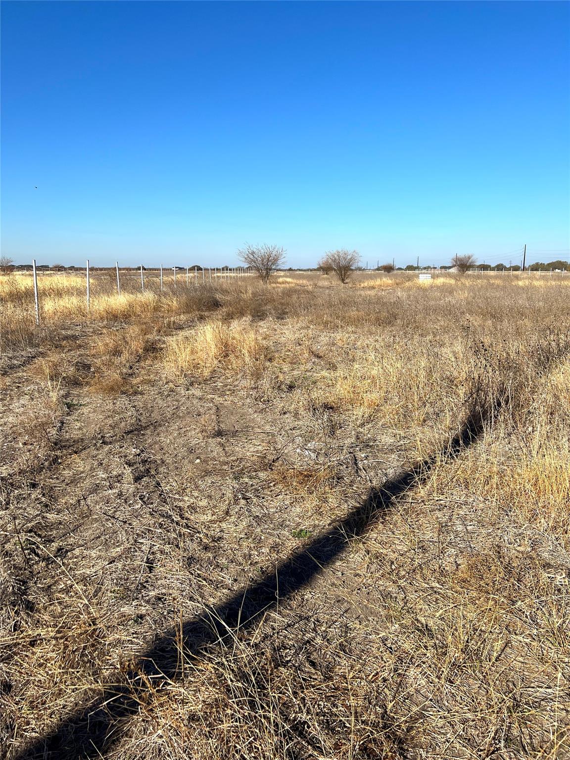 Unimproved Land