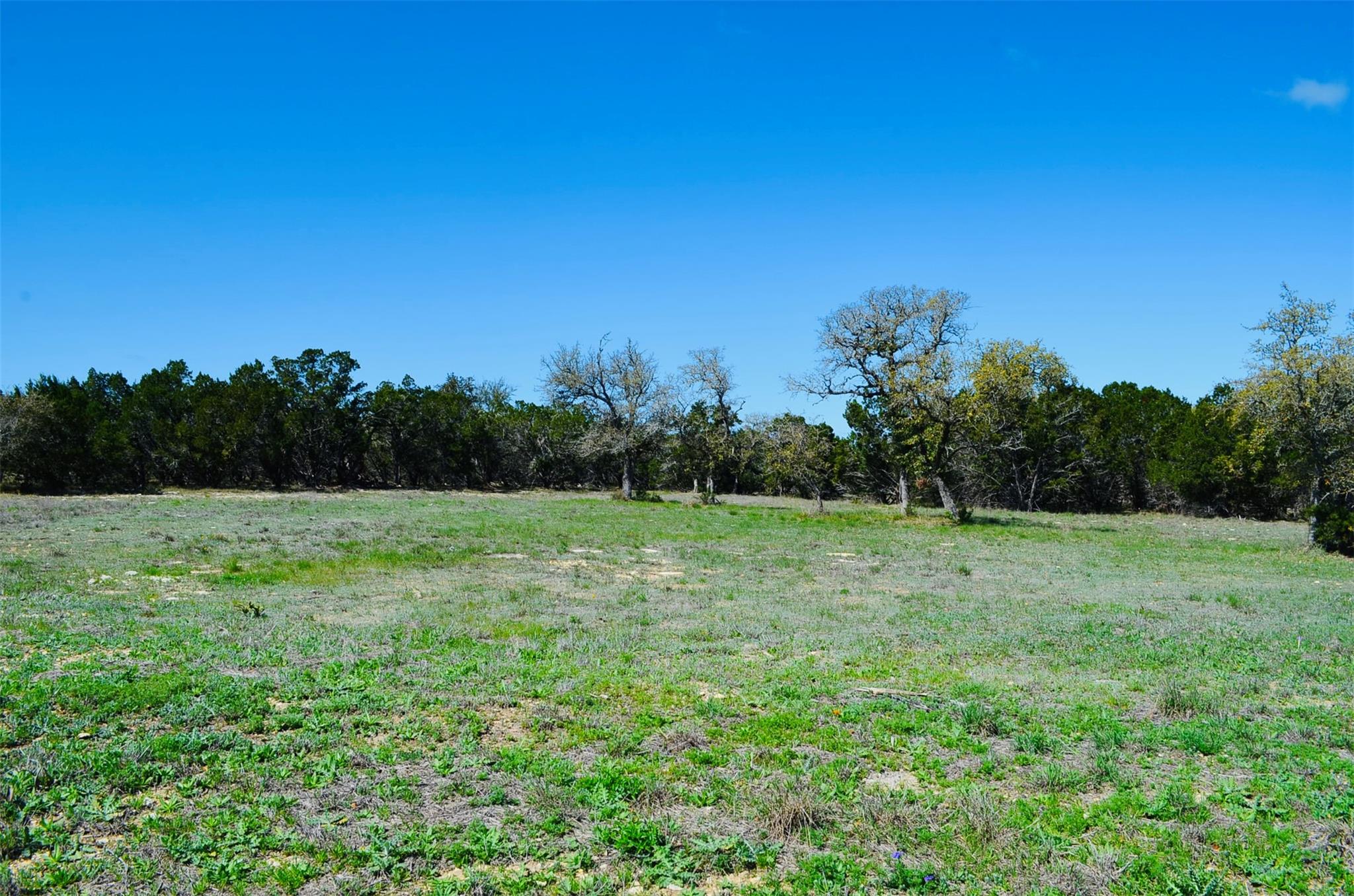 Unimproved Land