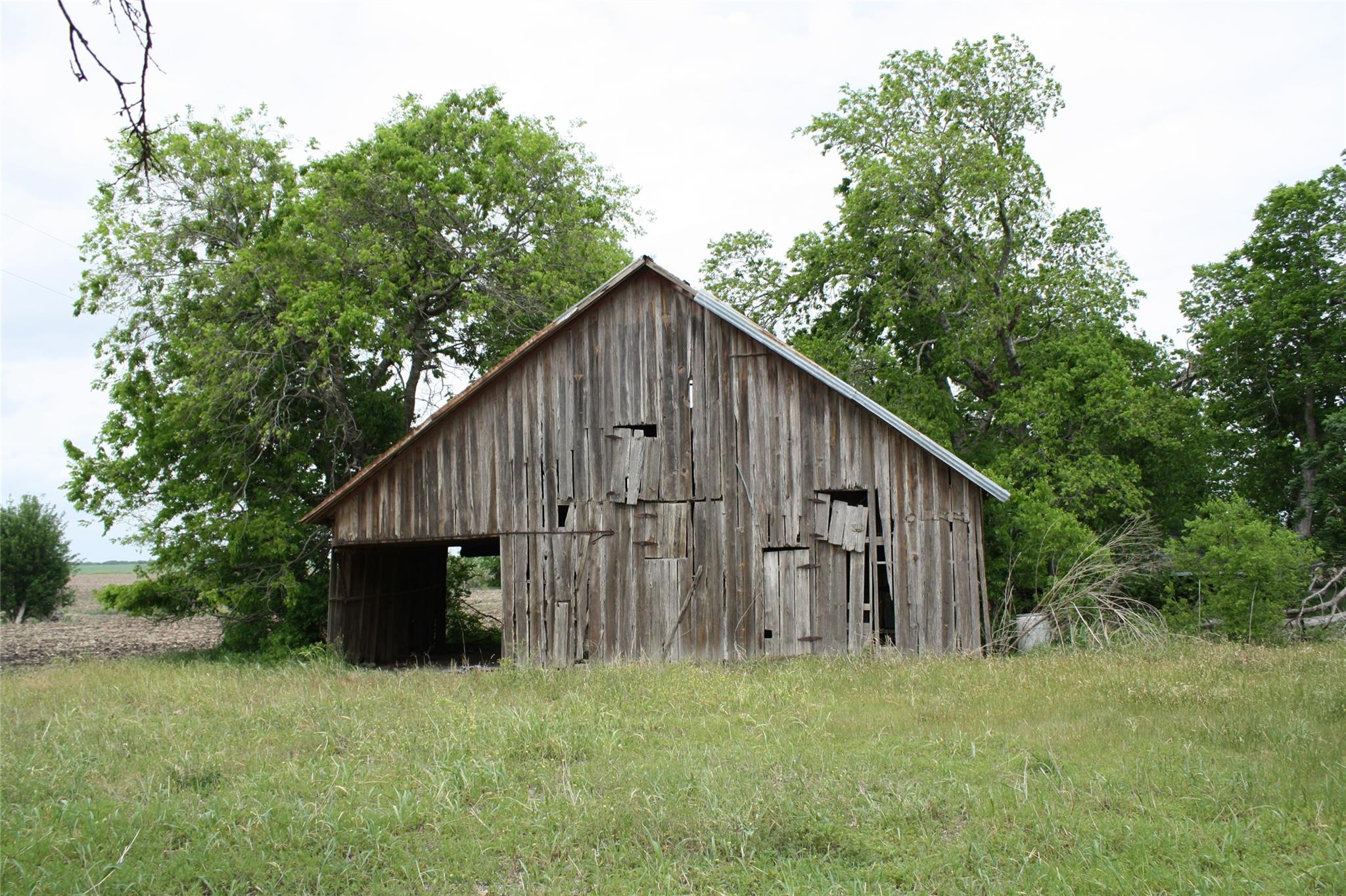 Photo 20