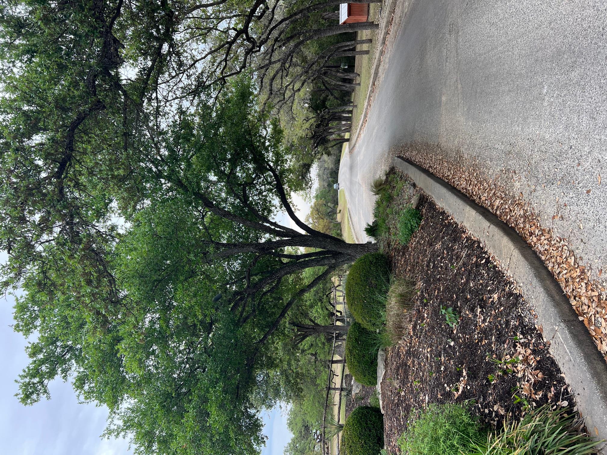 Multiple Lots (Adjacent)