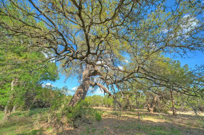 Unimproved Land