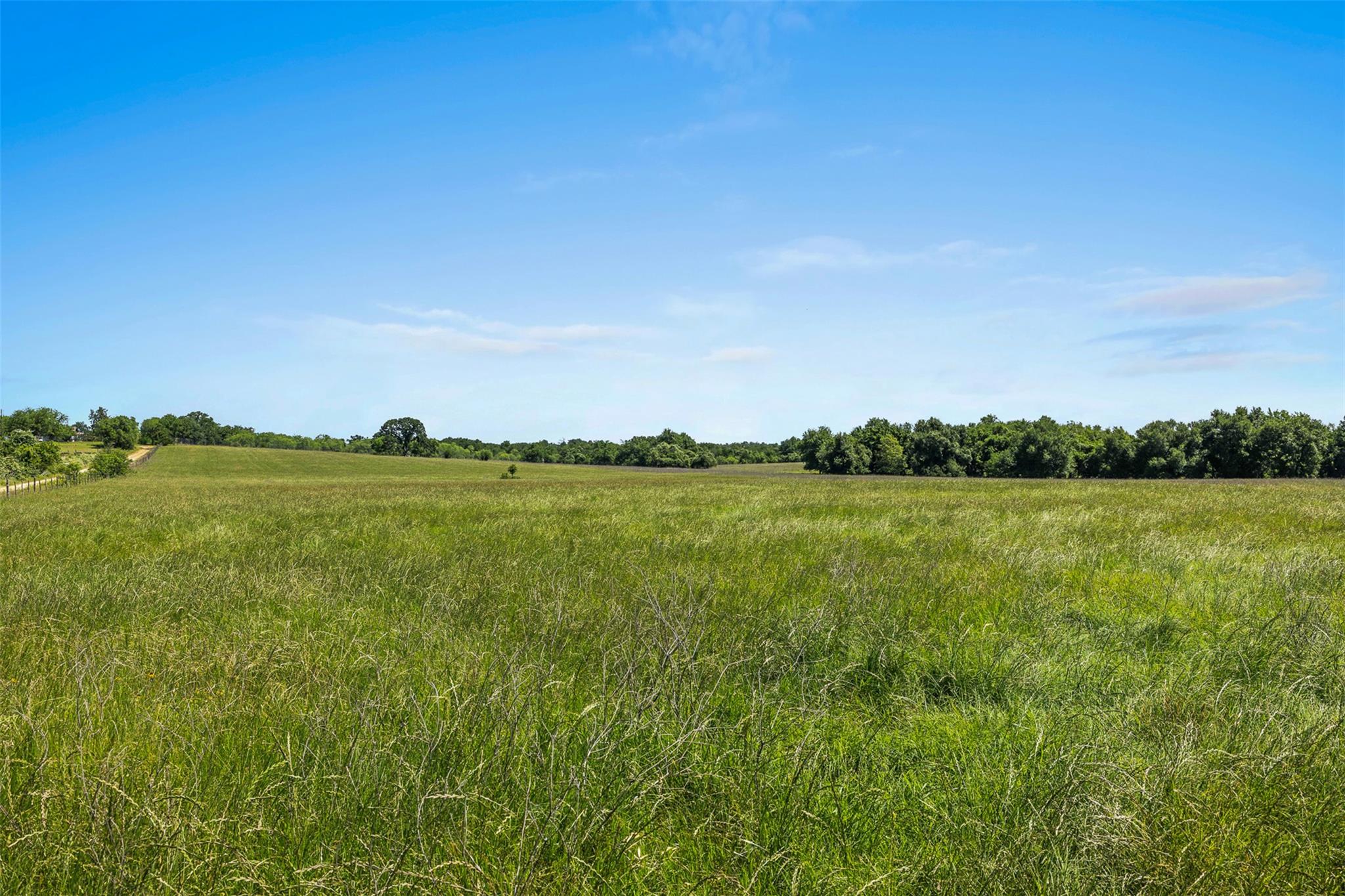 Unimproved Land