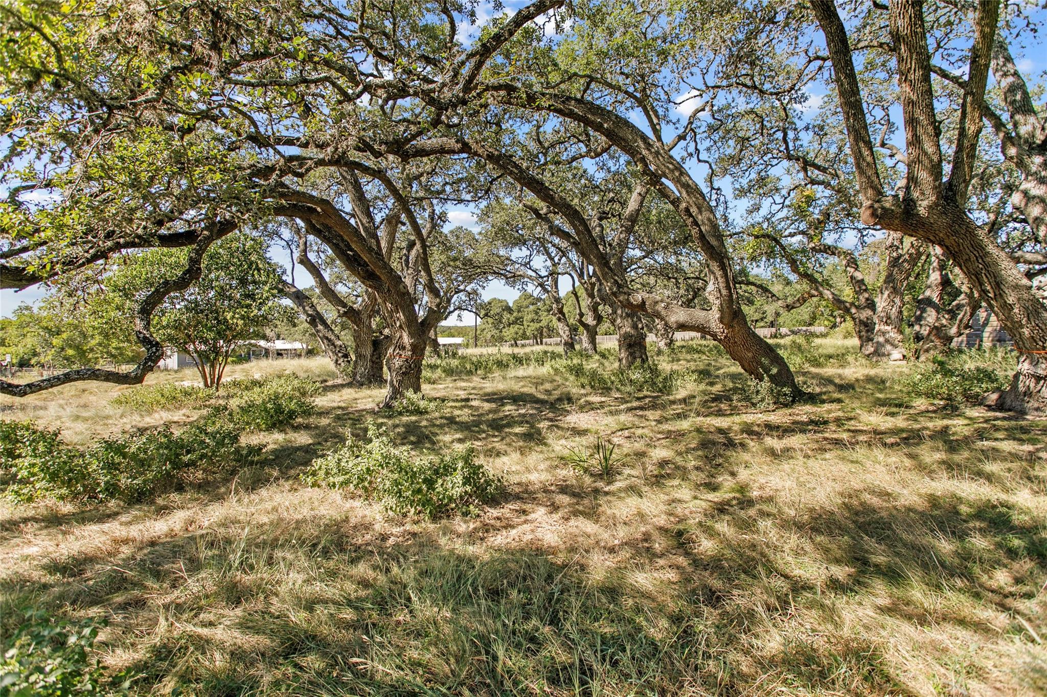 Unimproved Land
