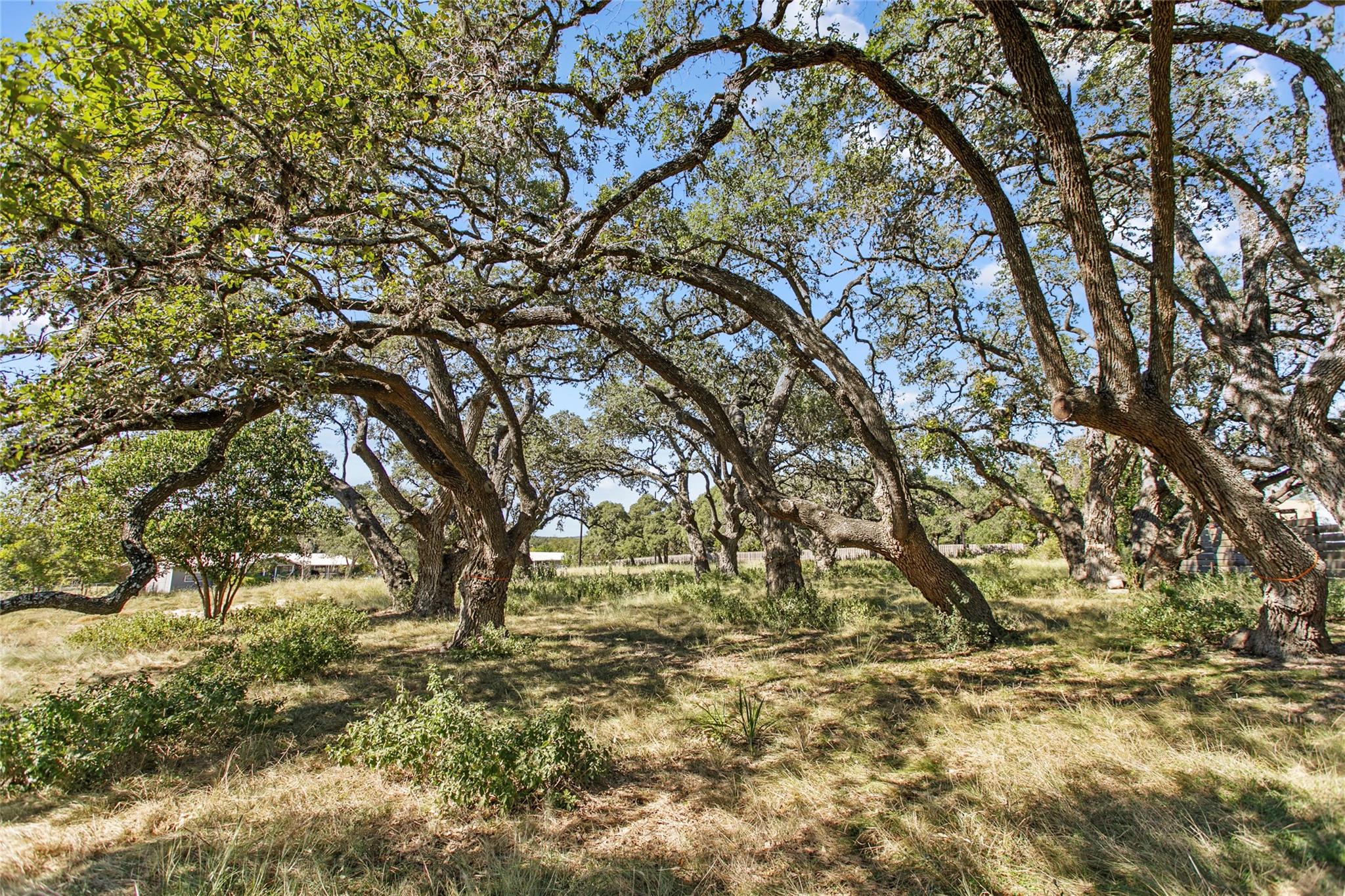 Unimproved Land
