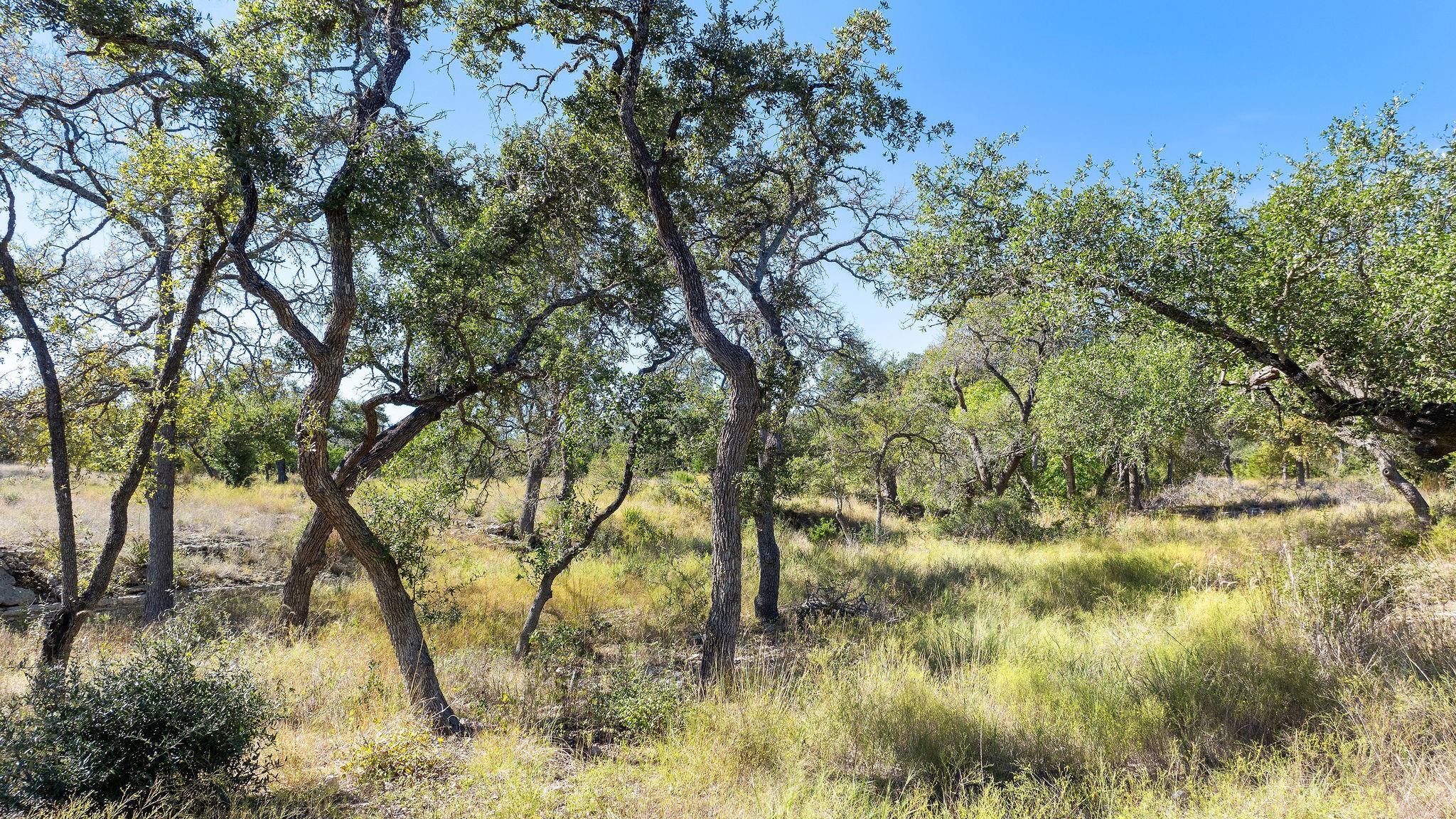 Unimproved Land