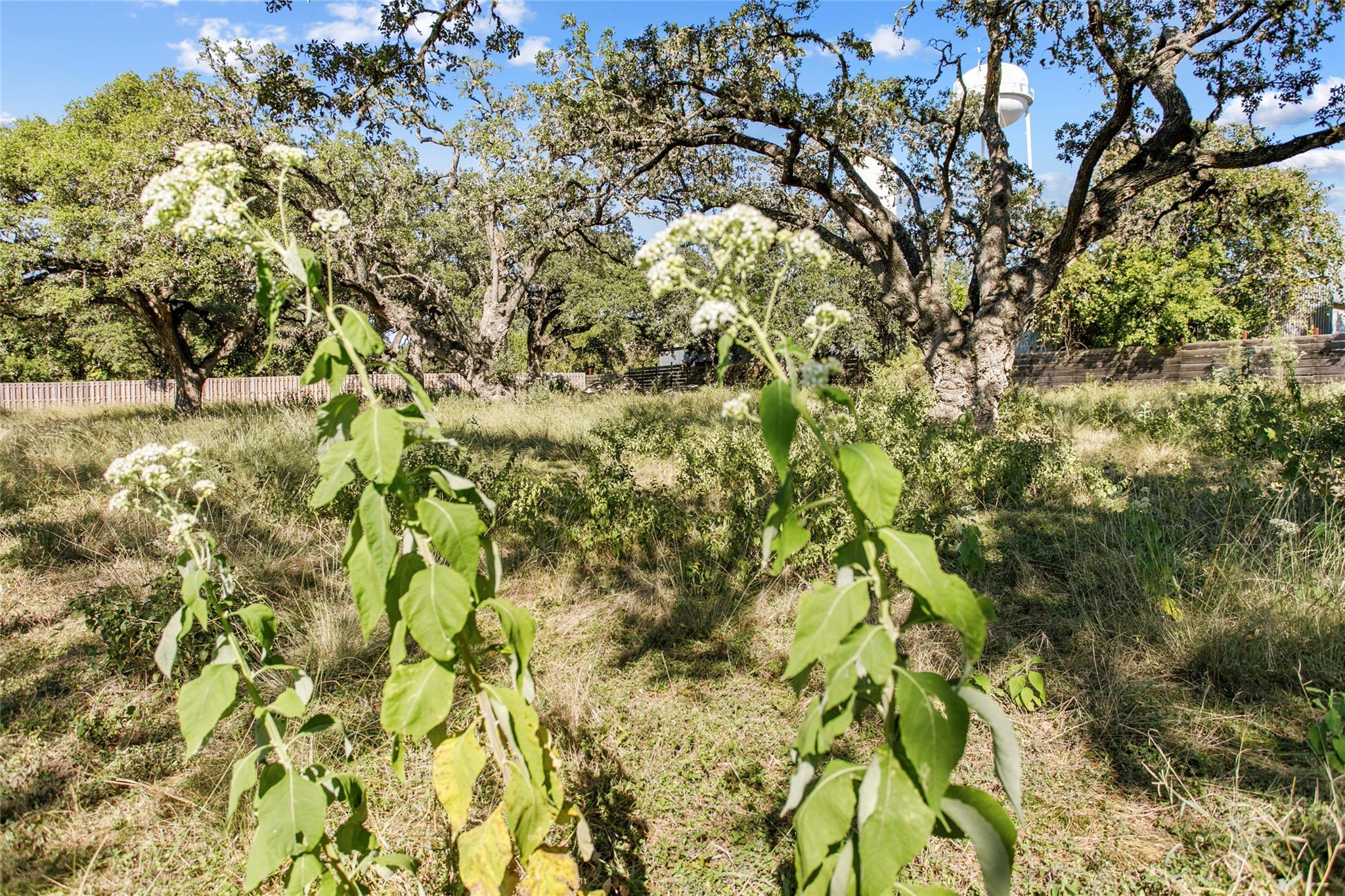 Unimproved Land