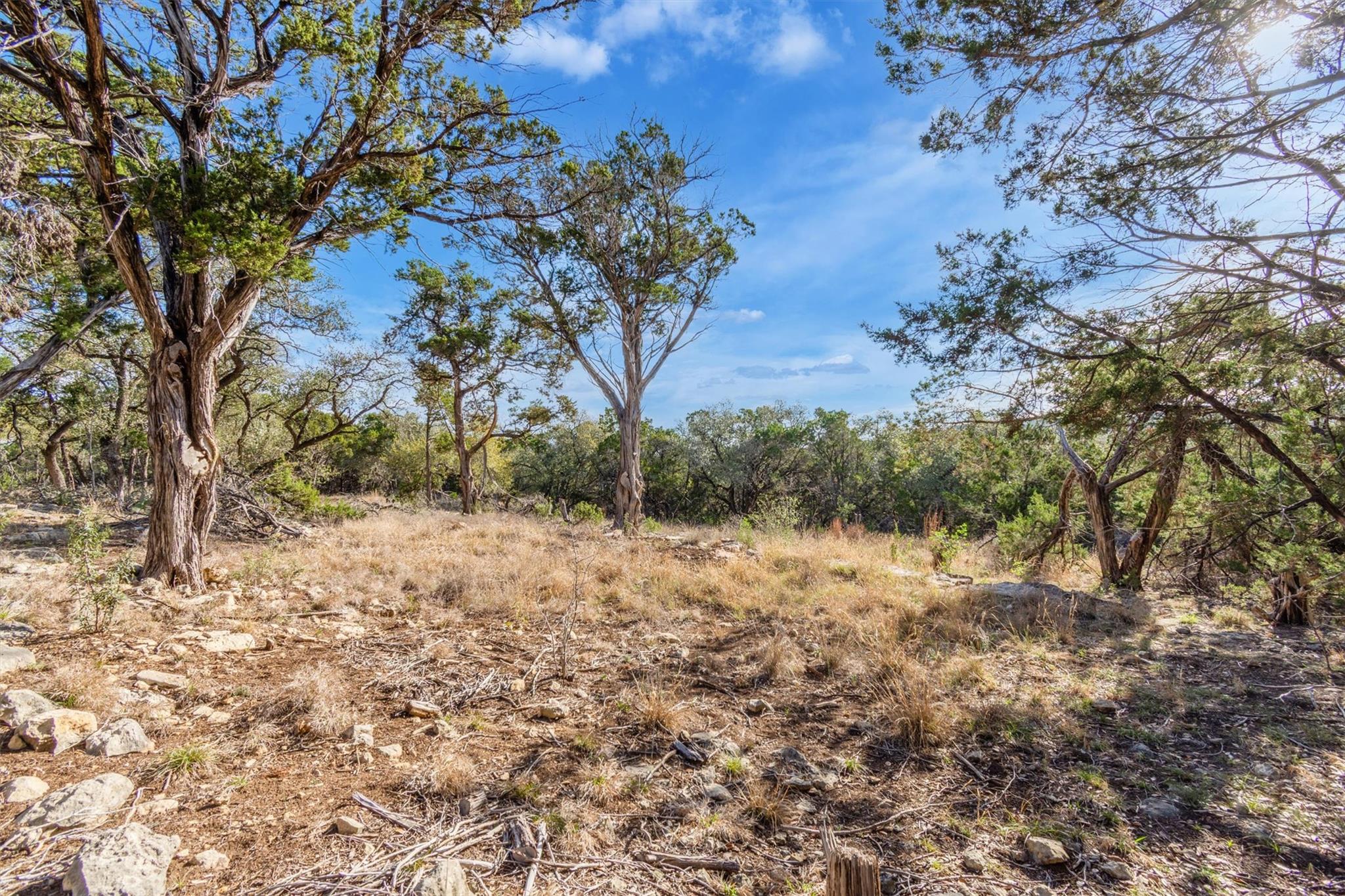 Unimproved Land