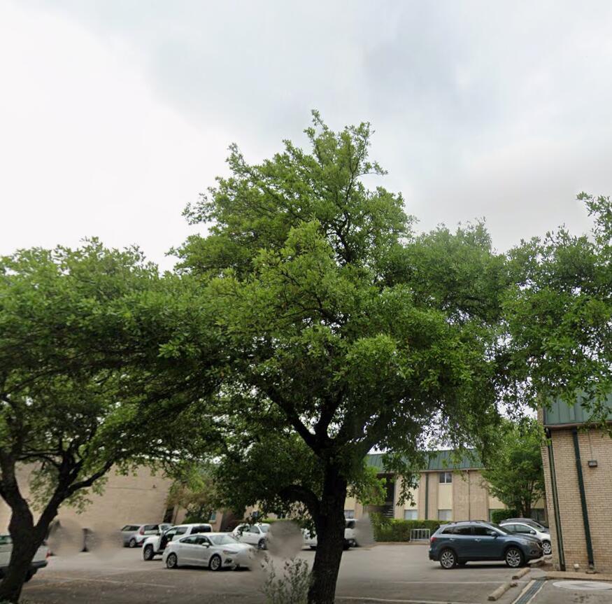 Condominium