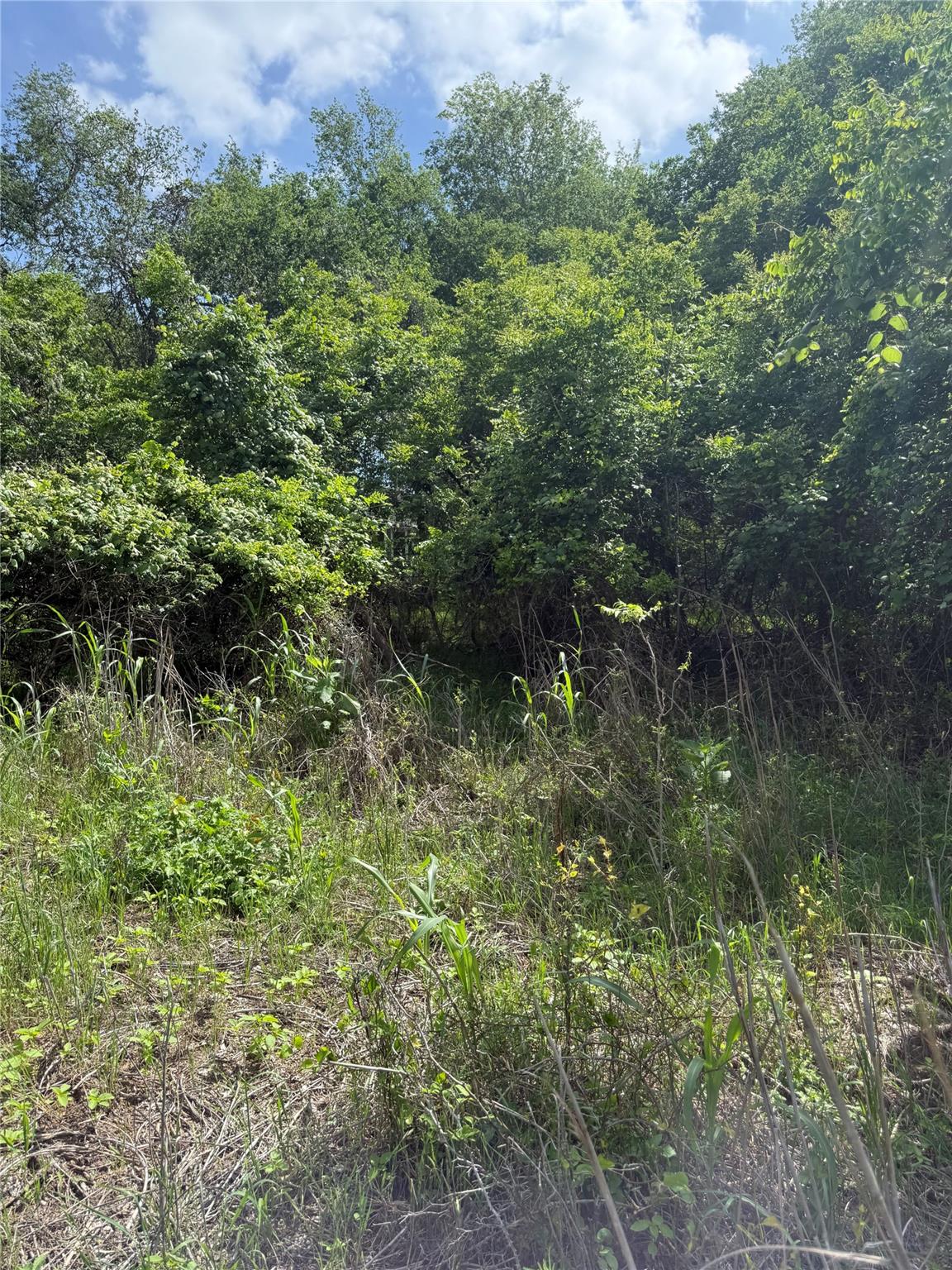 Unimproved Land