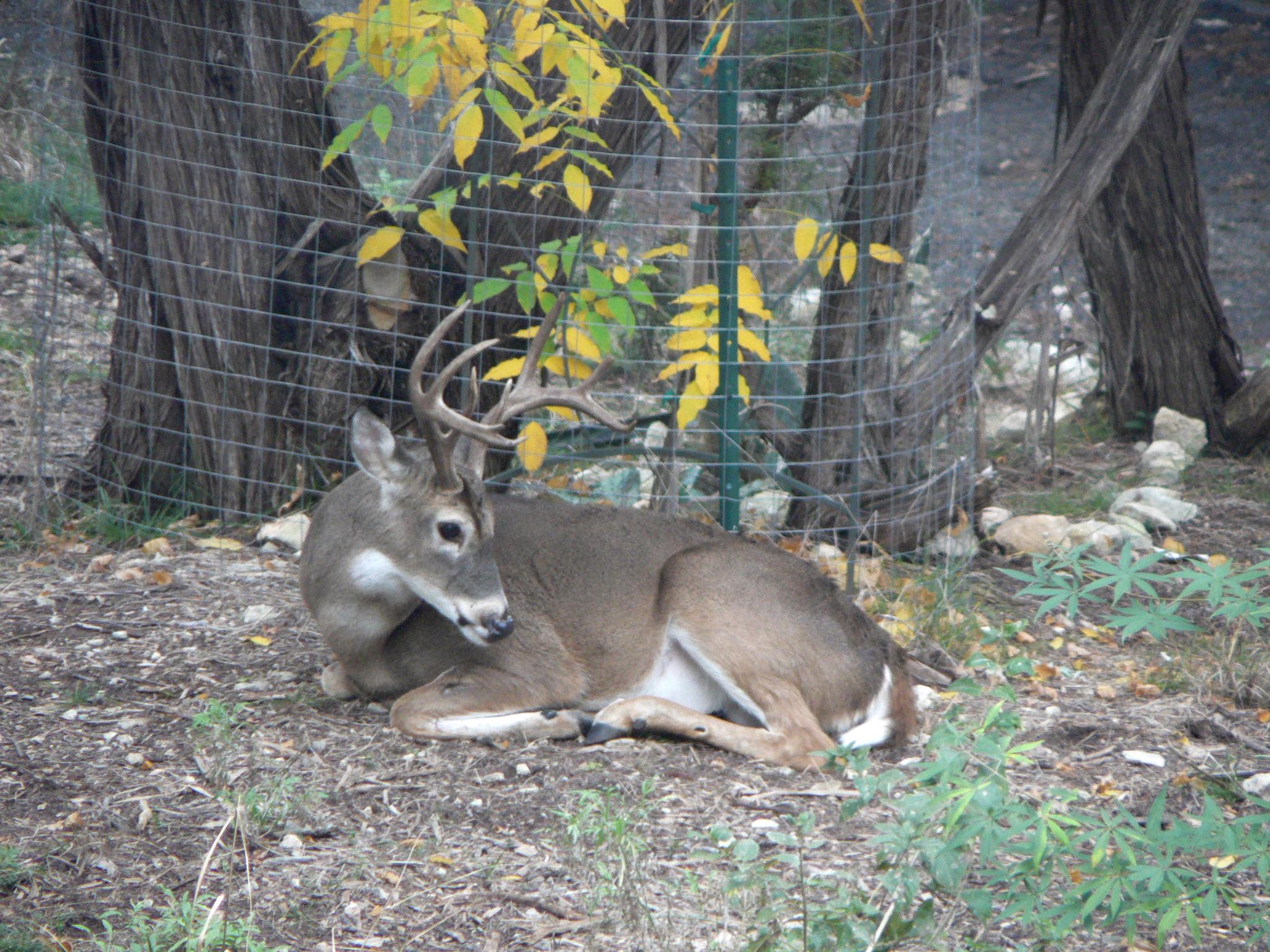 Photo 40