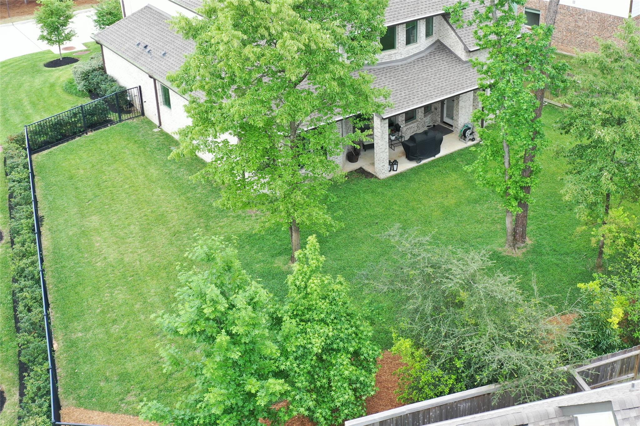 Photo 4