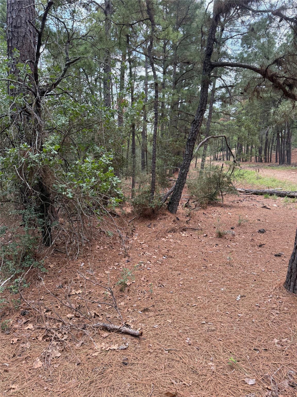 Unimproved Land