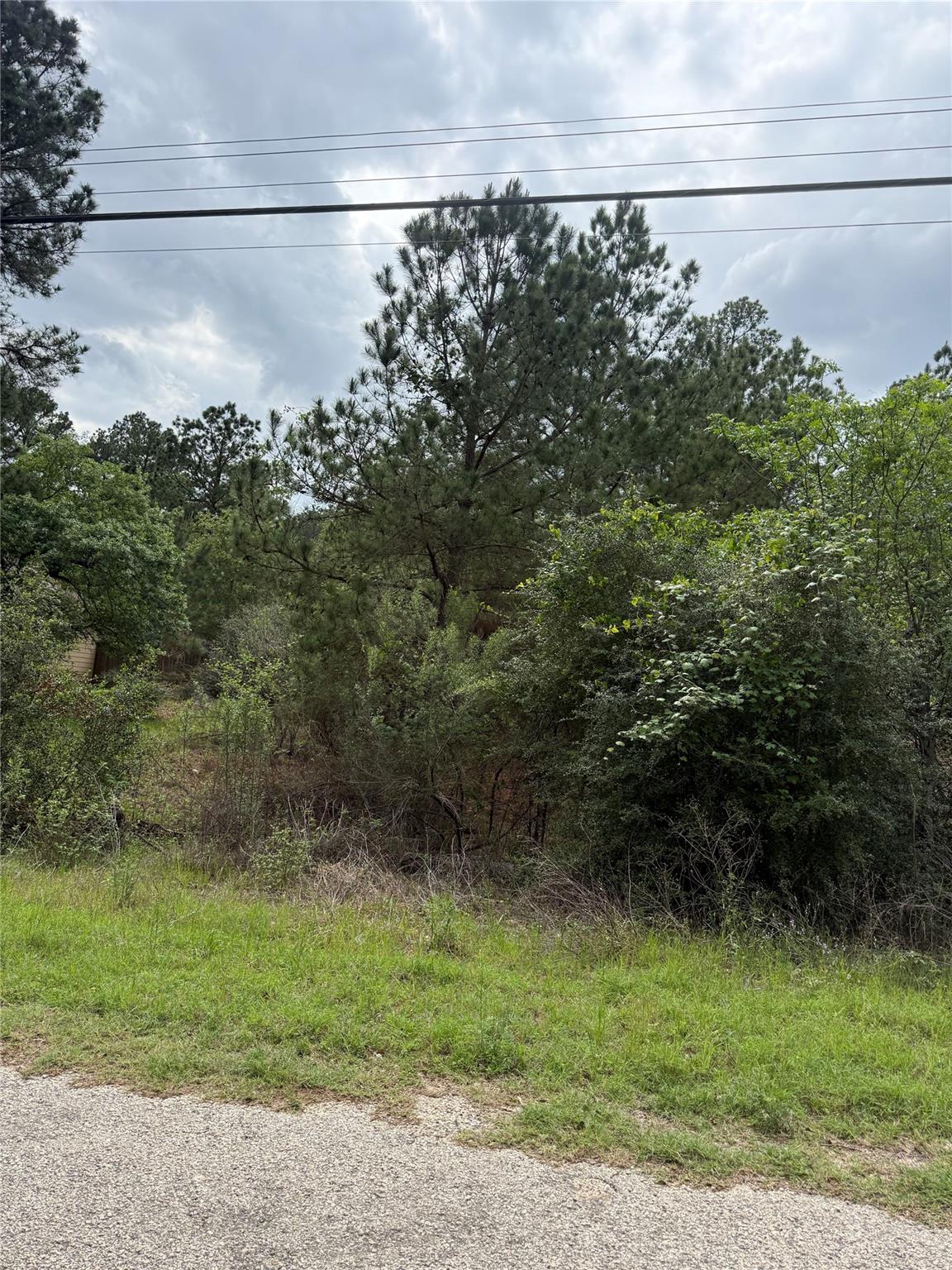 Unimproved Land