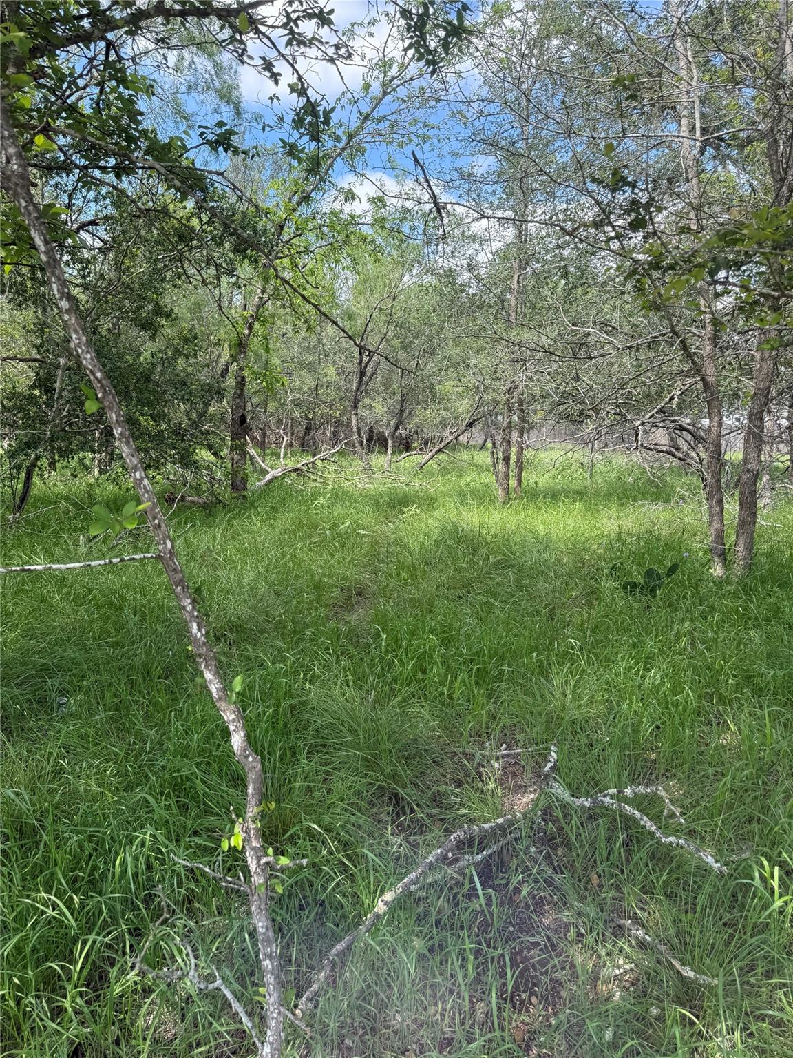 Unimproved Land