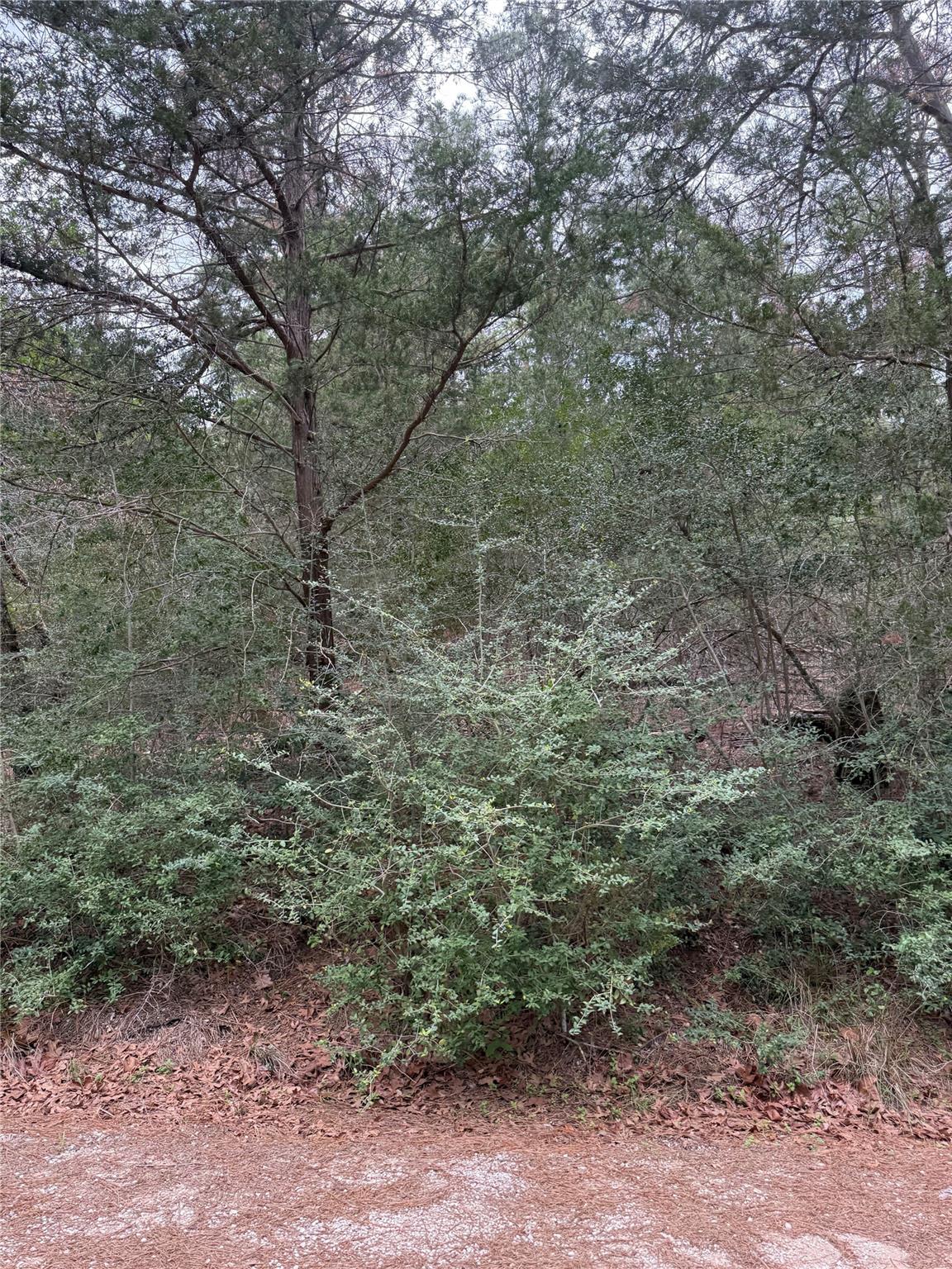 Unimproved Land