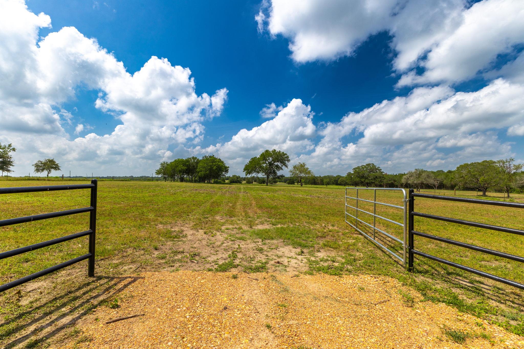 Unimproved Land