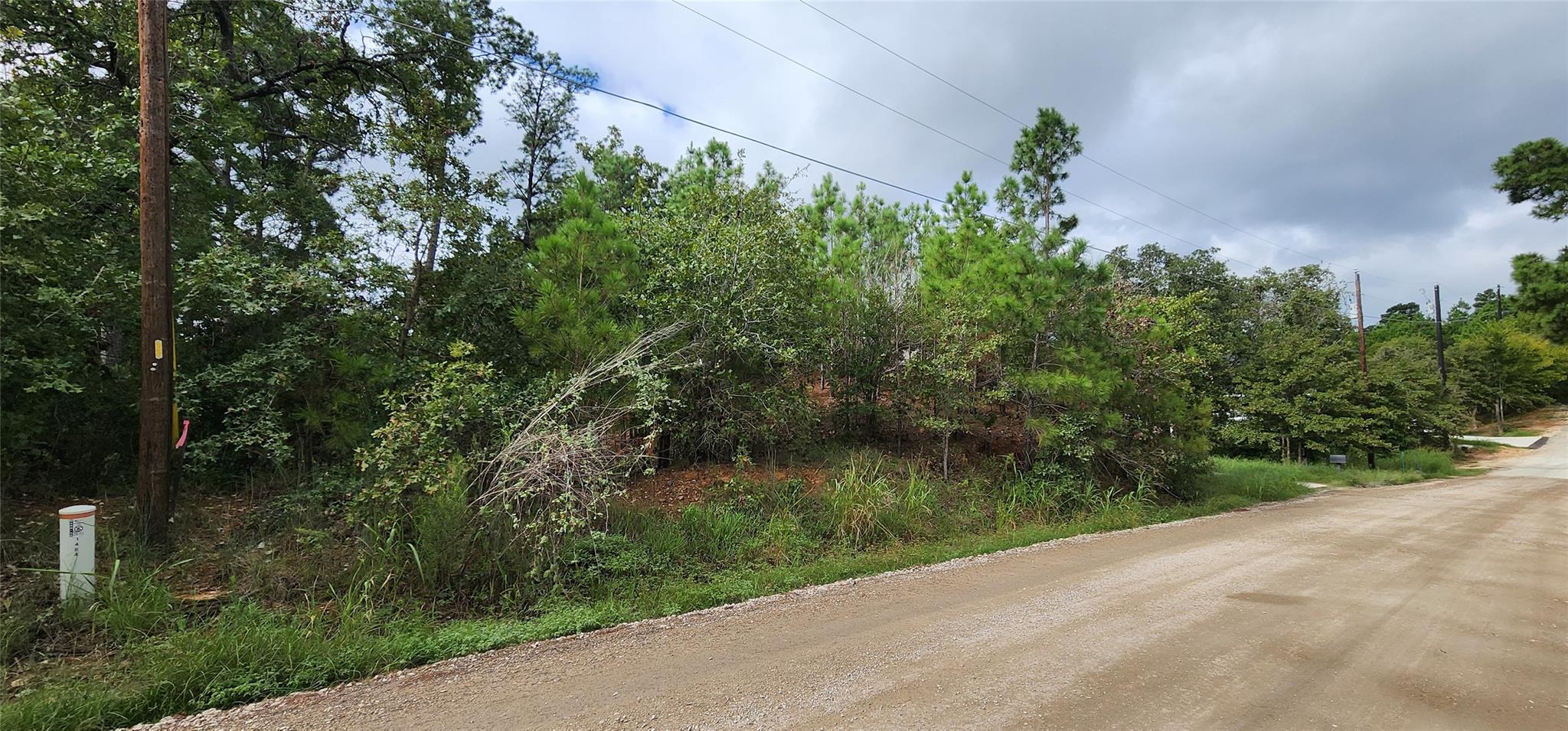Unimproved Land