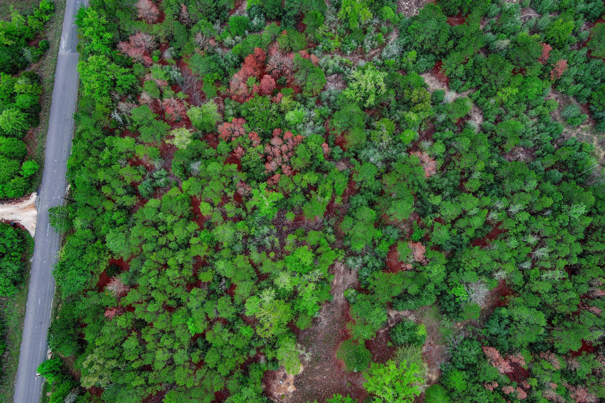 Unimproved Land