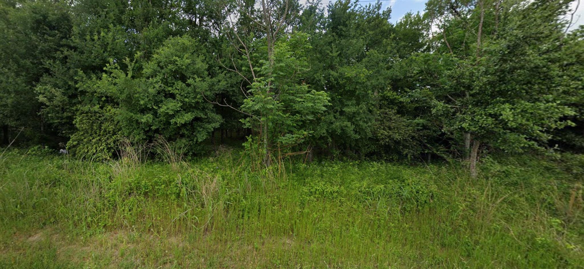 22 Timberforest