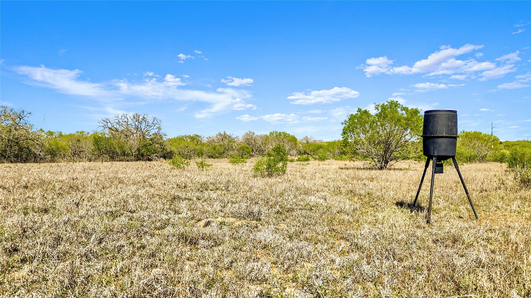 Unimproved Land