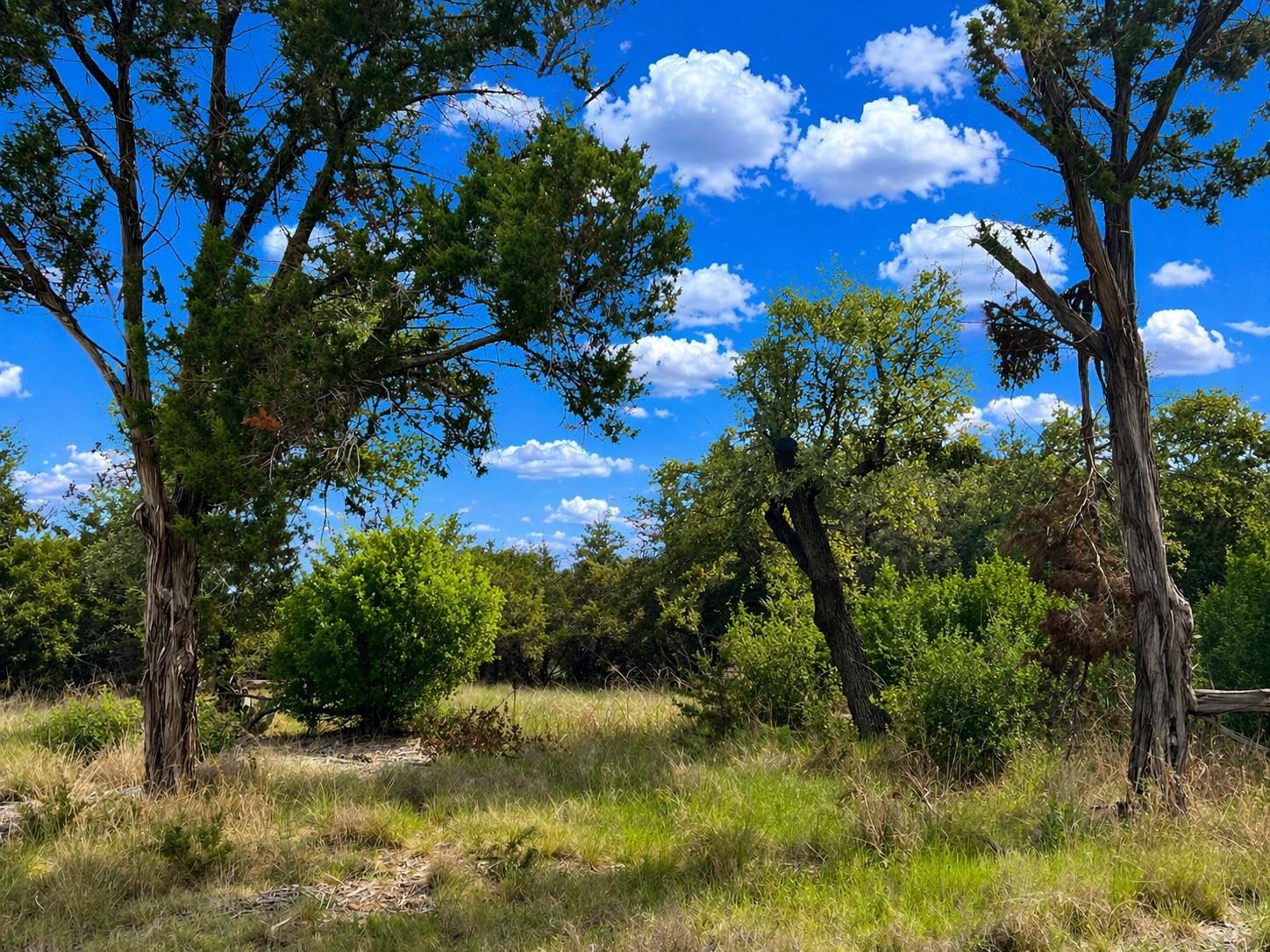 Unimproved Land