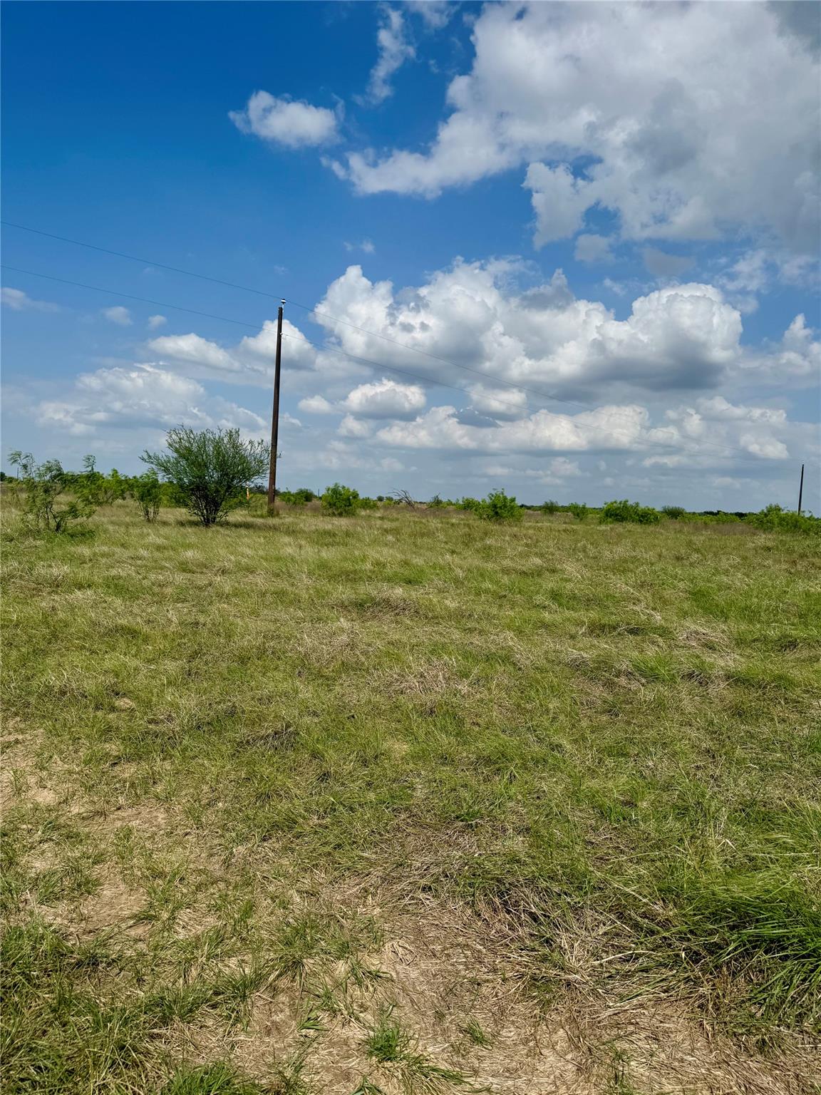 TBD Lot 14 CR 473