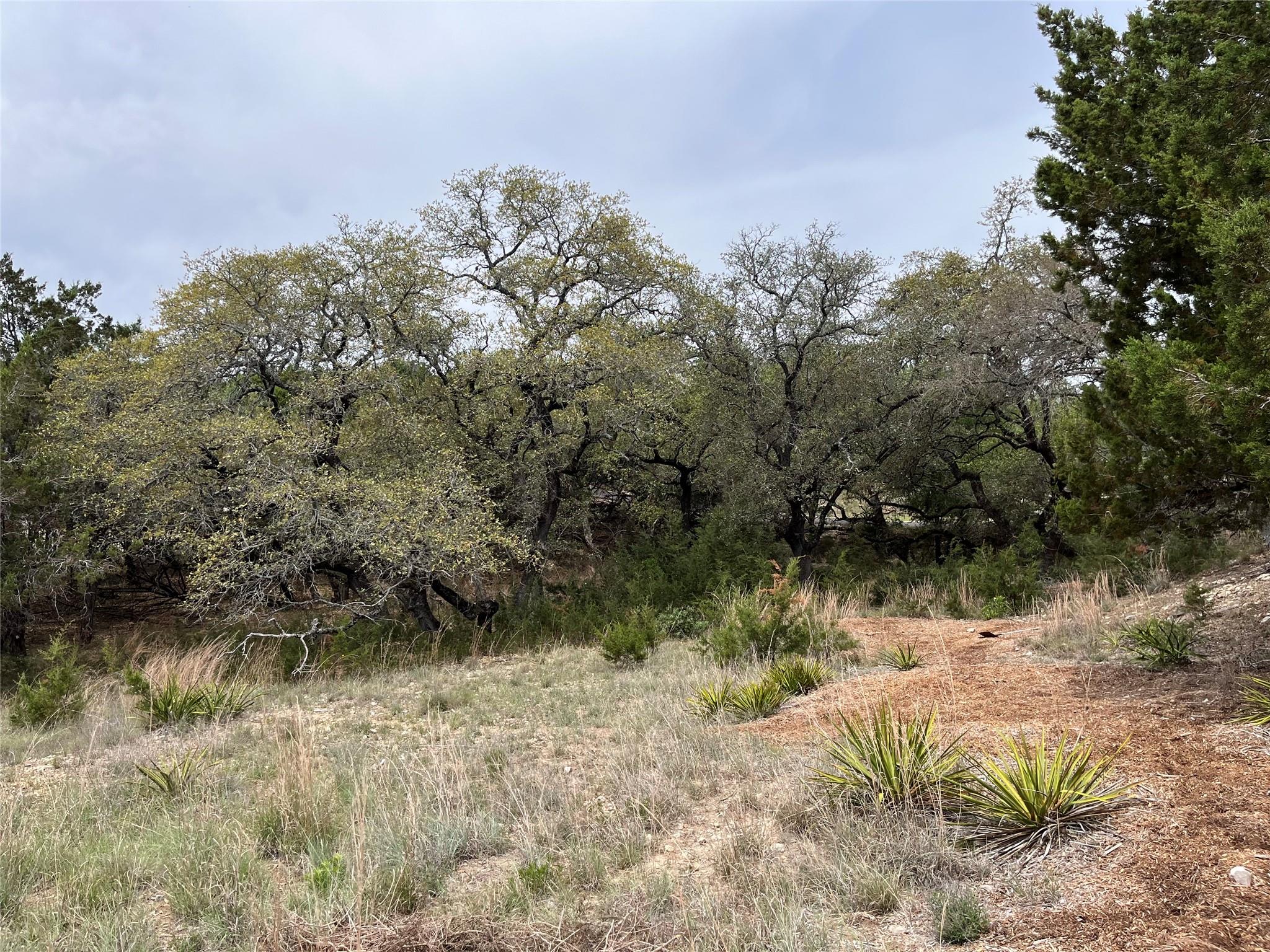 Unimproved Land