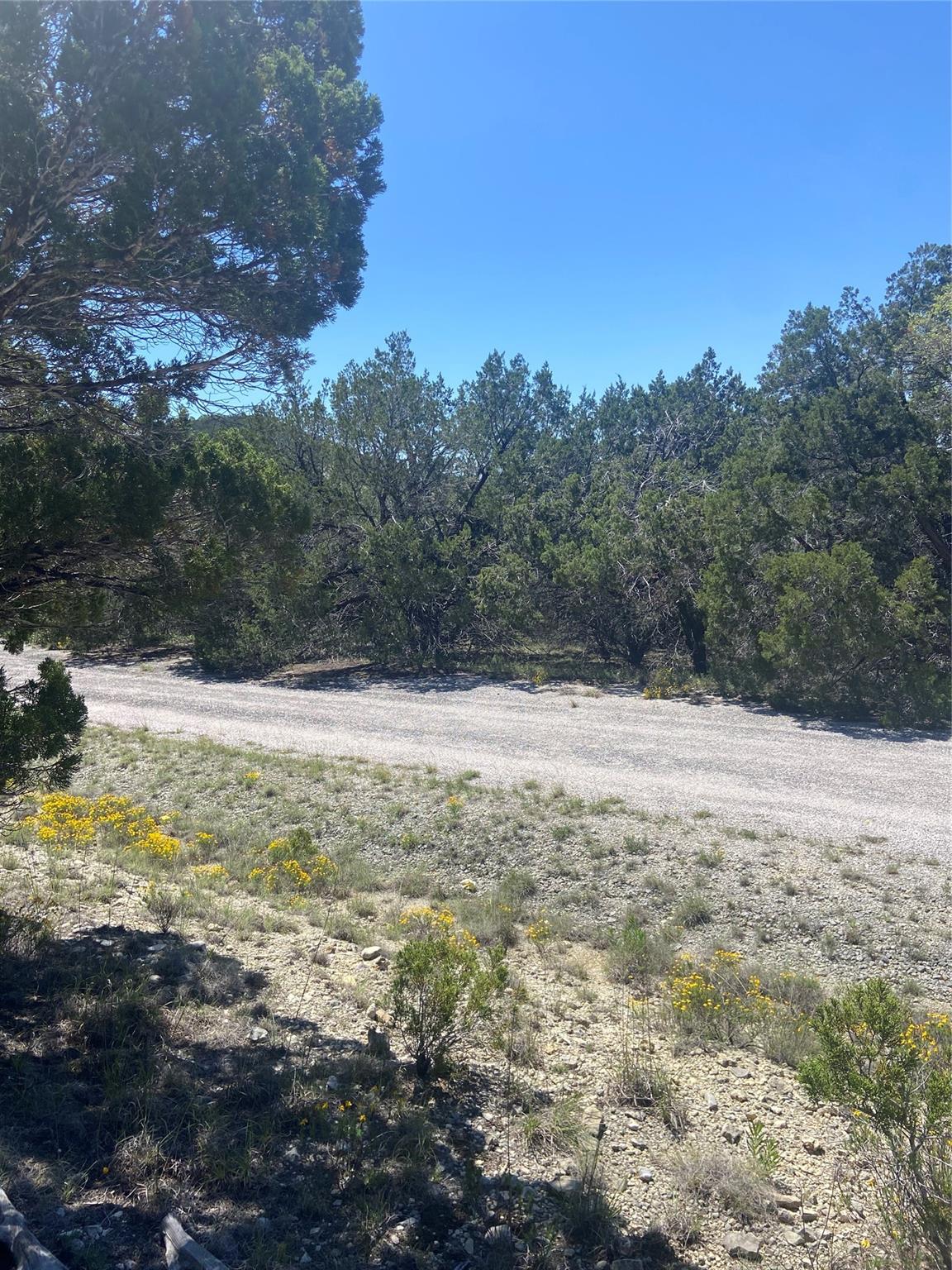 Unimproved Land