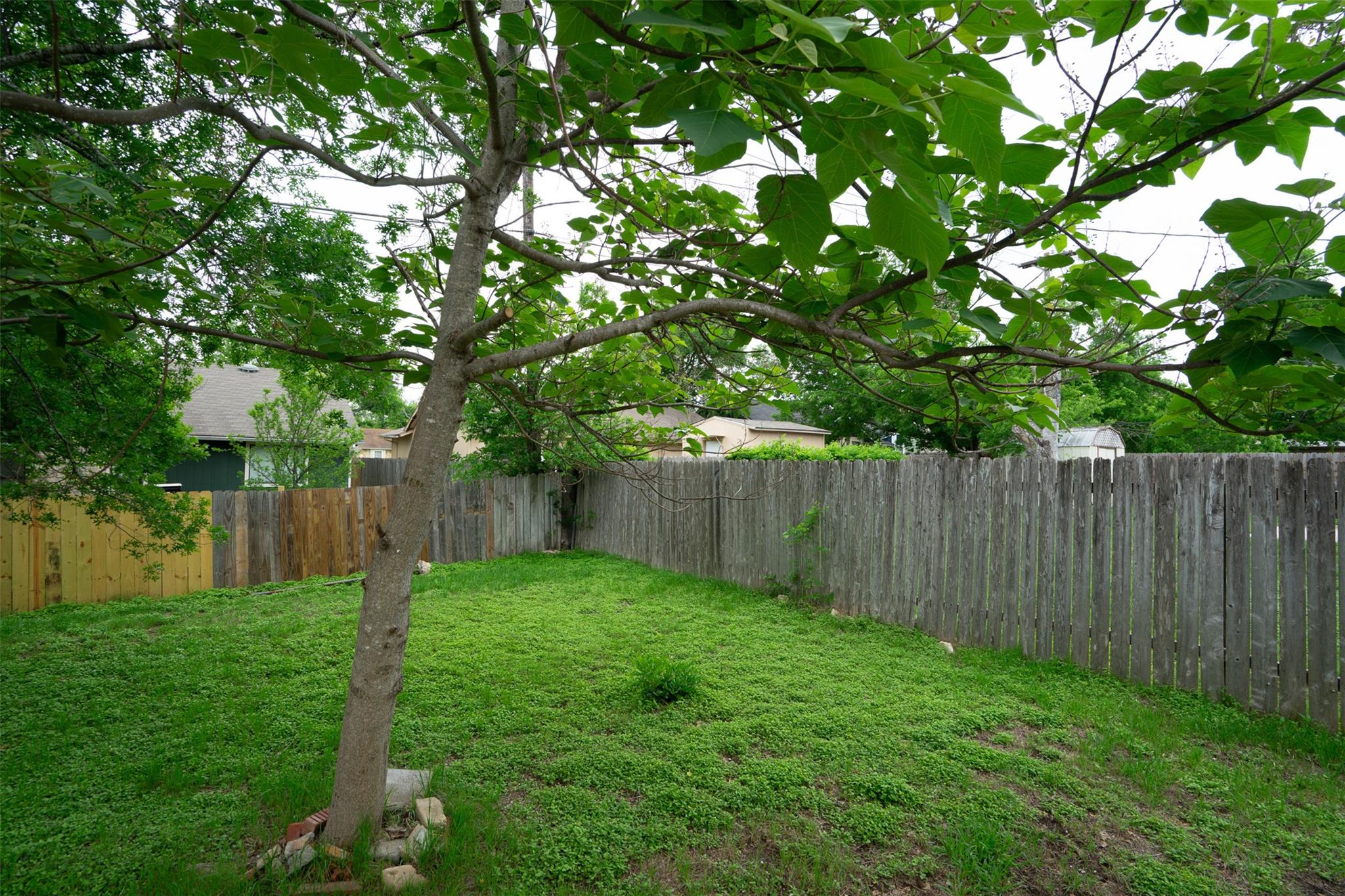 Photo 31