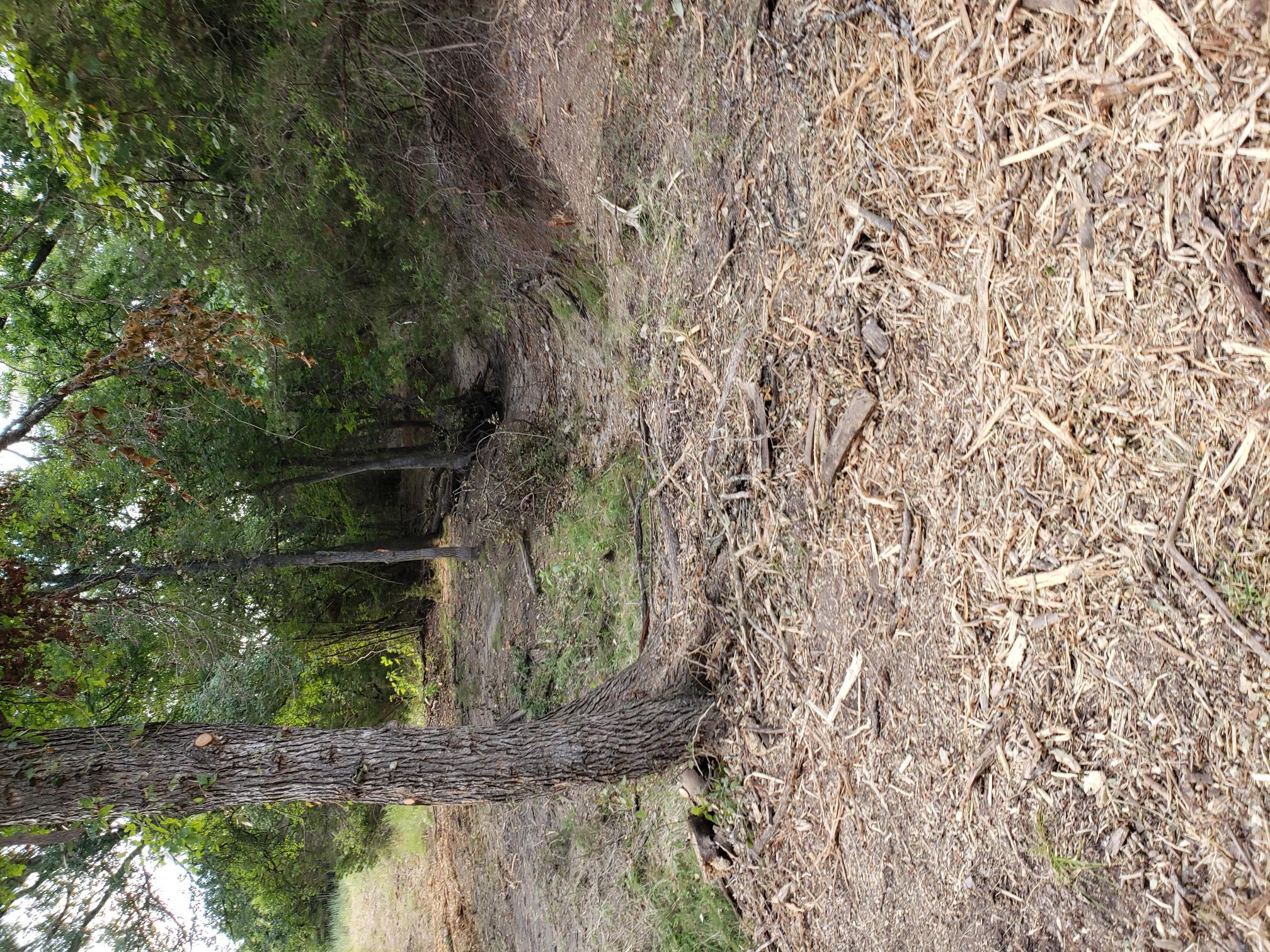 Lot 44 County Road 3640