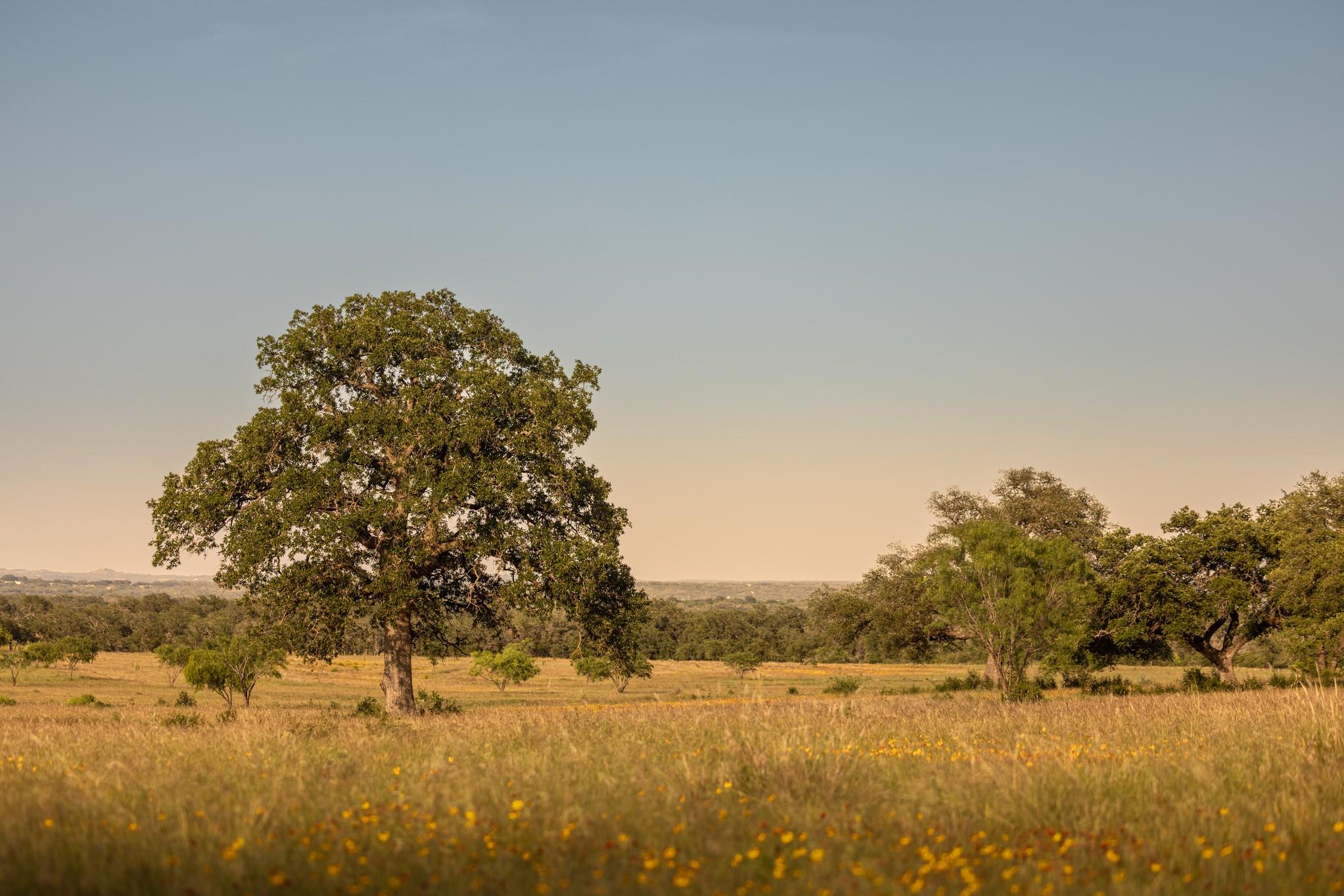 Ranch