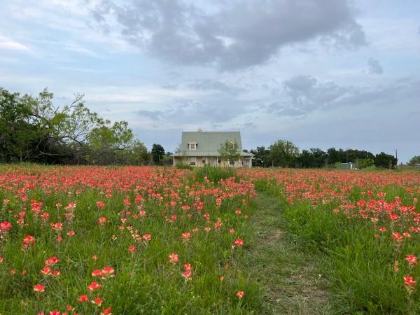 Photo 40